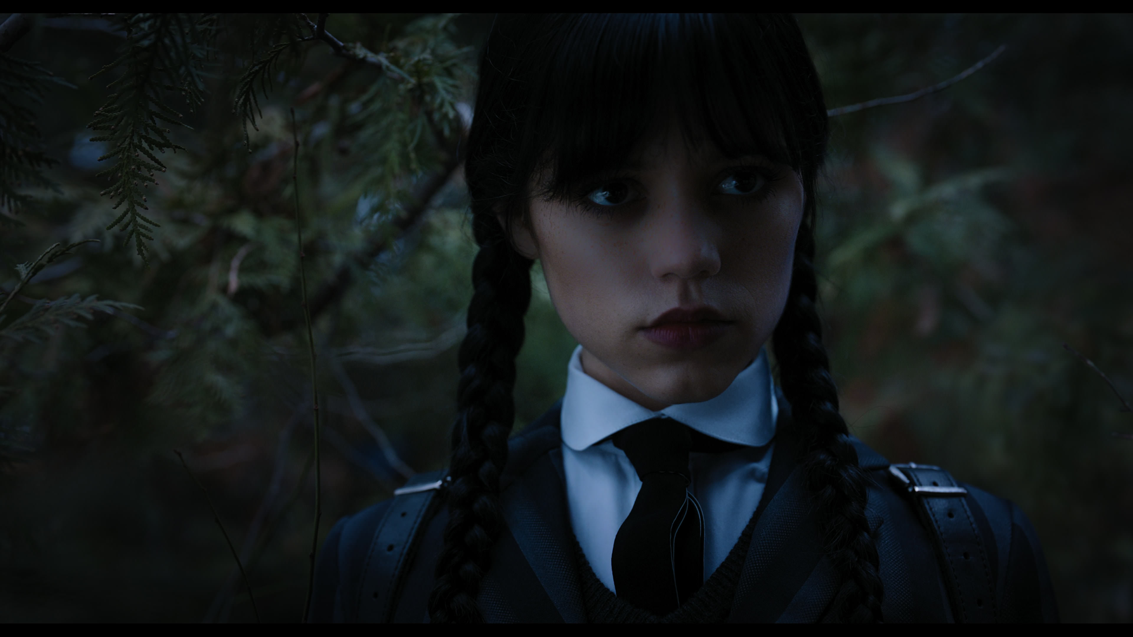 Wednesday S01E04 “Woe What a Night” movie still 1009