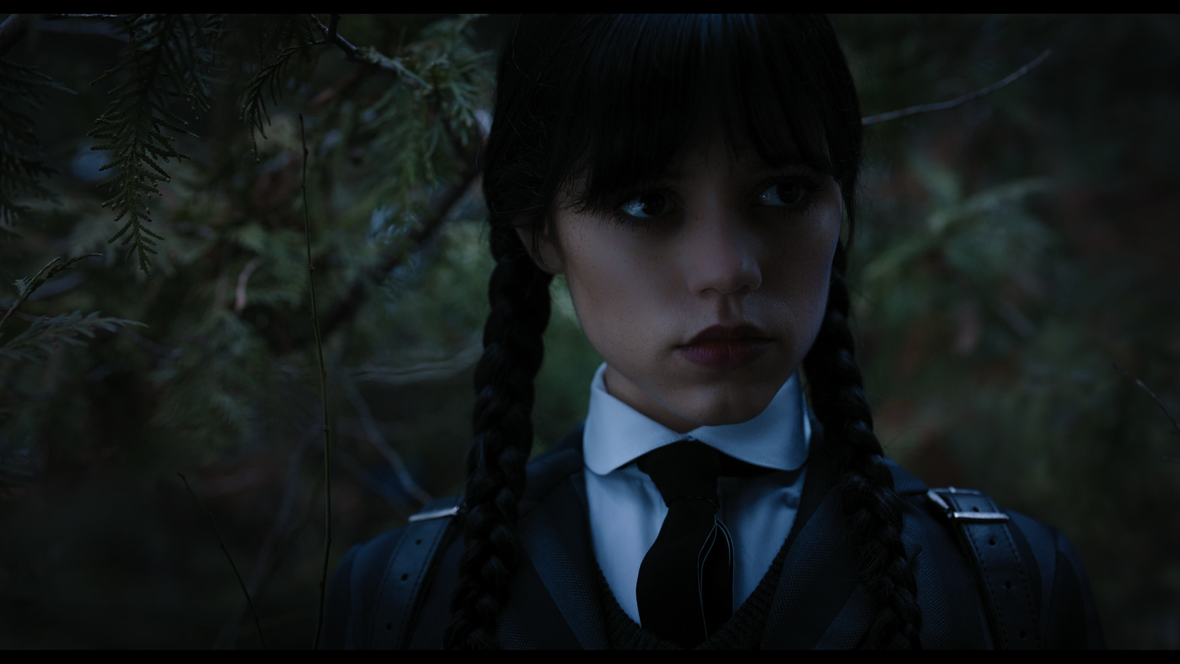 Wednesday S01E04 “Woe What a Night” HD screenshot 1010