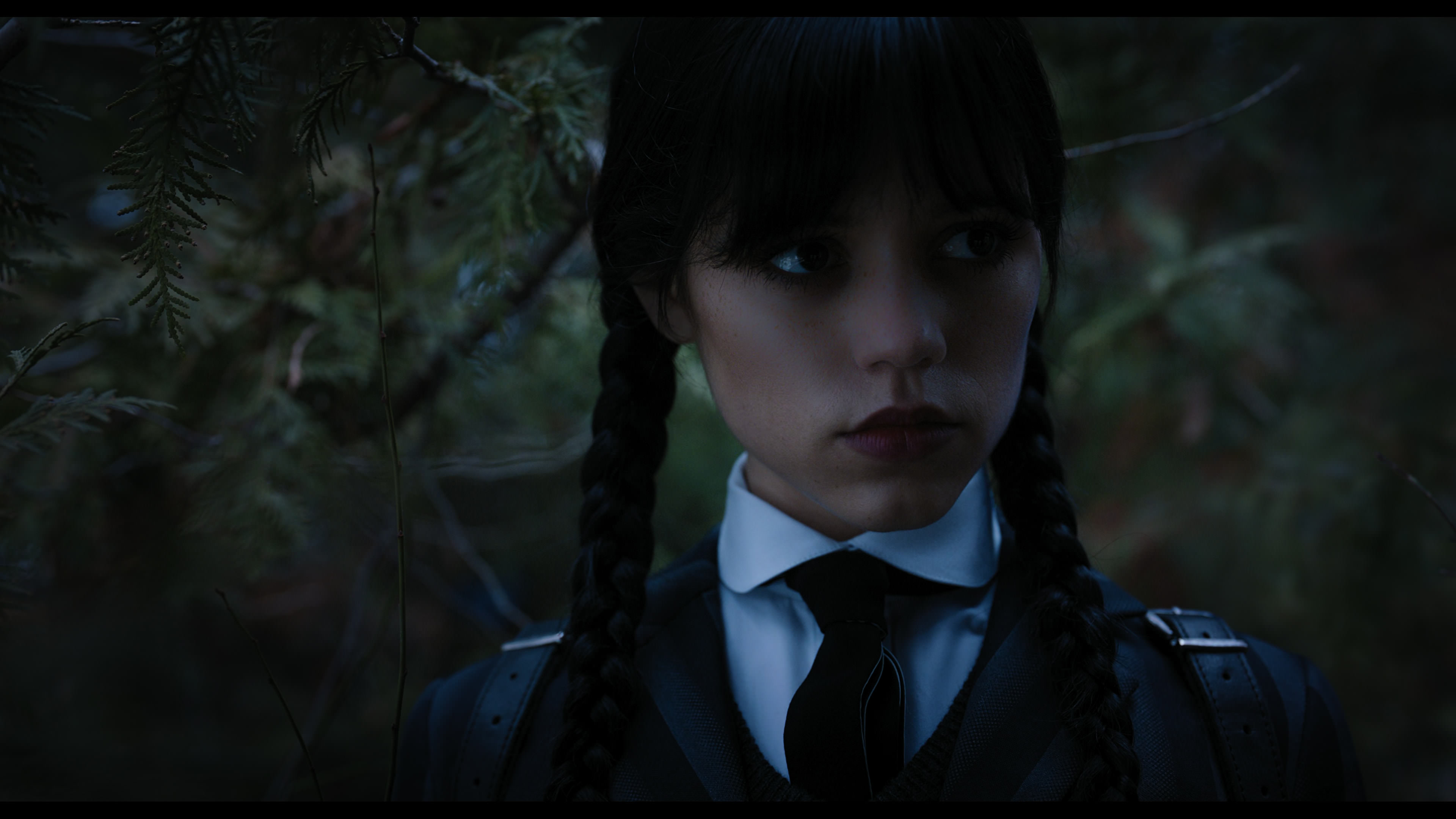 Wednesday S01E04 “Woe What a Night” screencap 1011