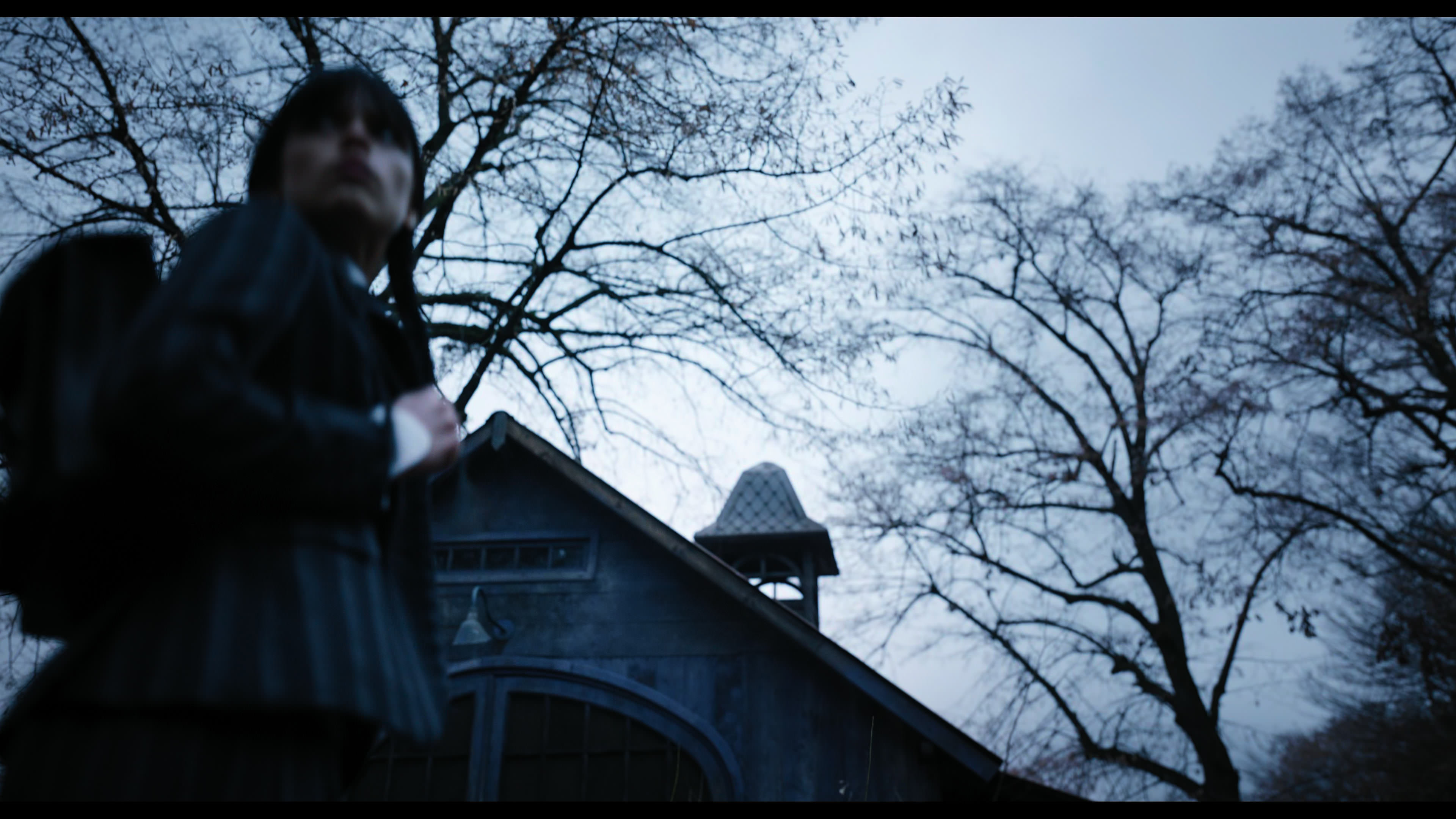 Wednesday S01E04 “Woe What a Night” HD screenshot 1013