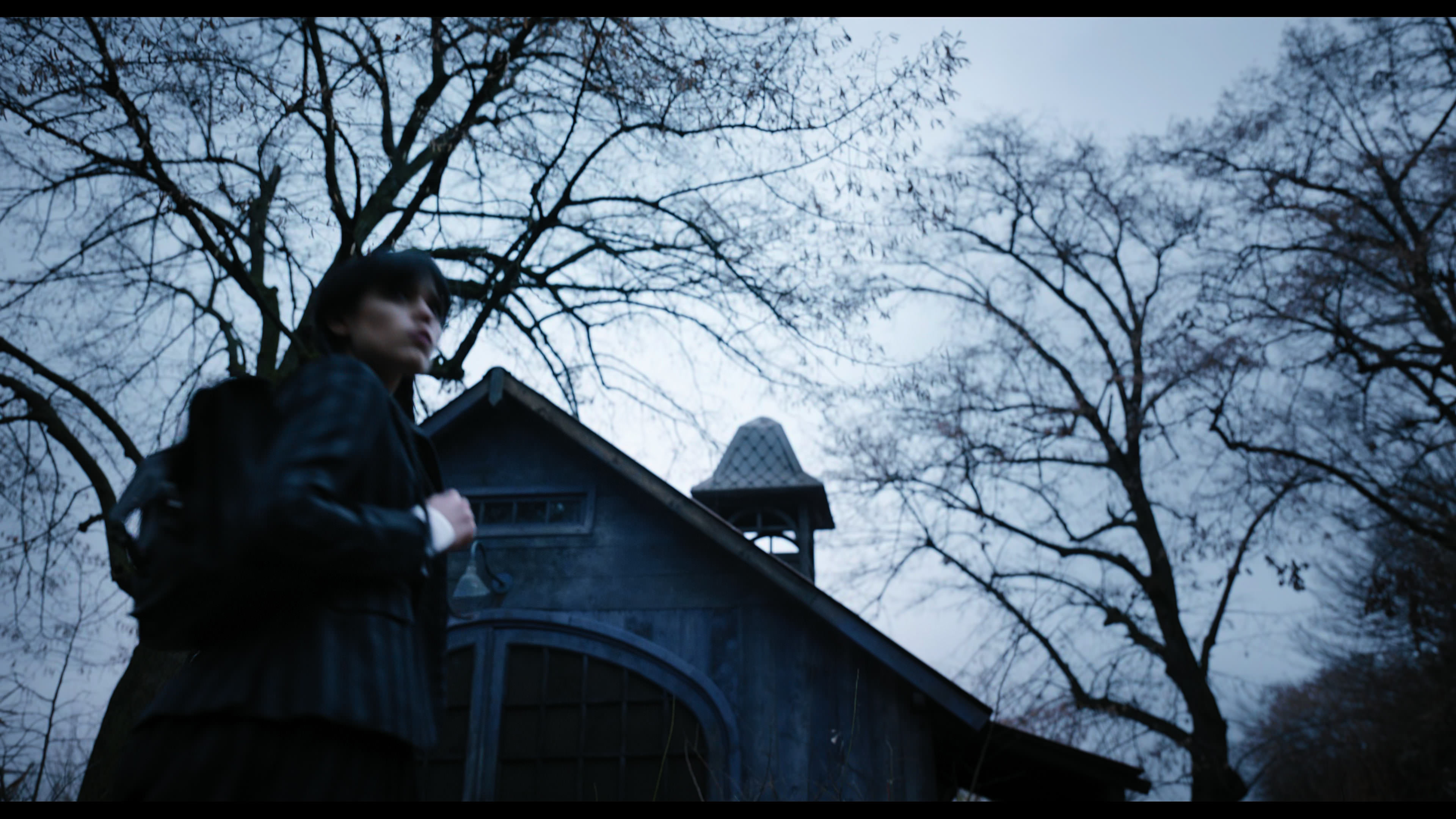 Wednesday S01E04 “Woe What a Night” screencap 1014