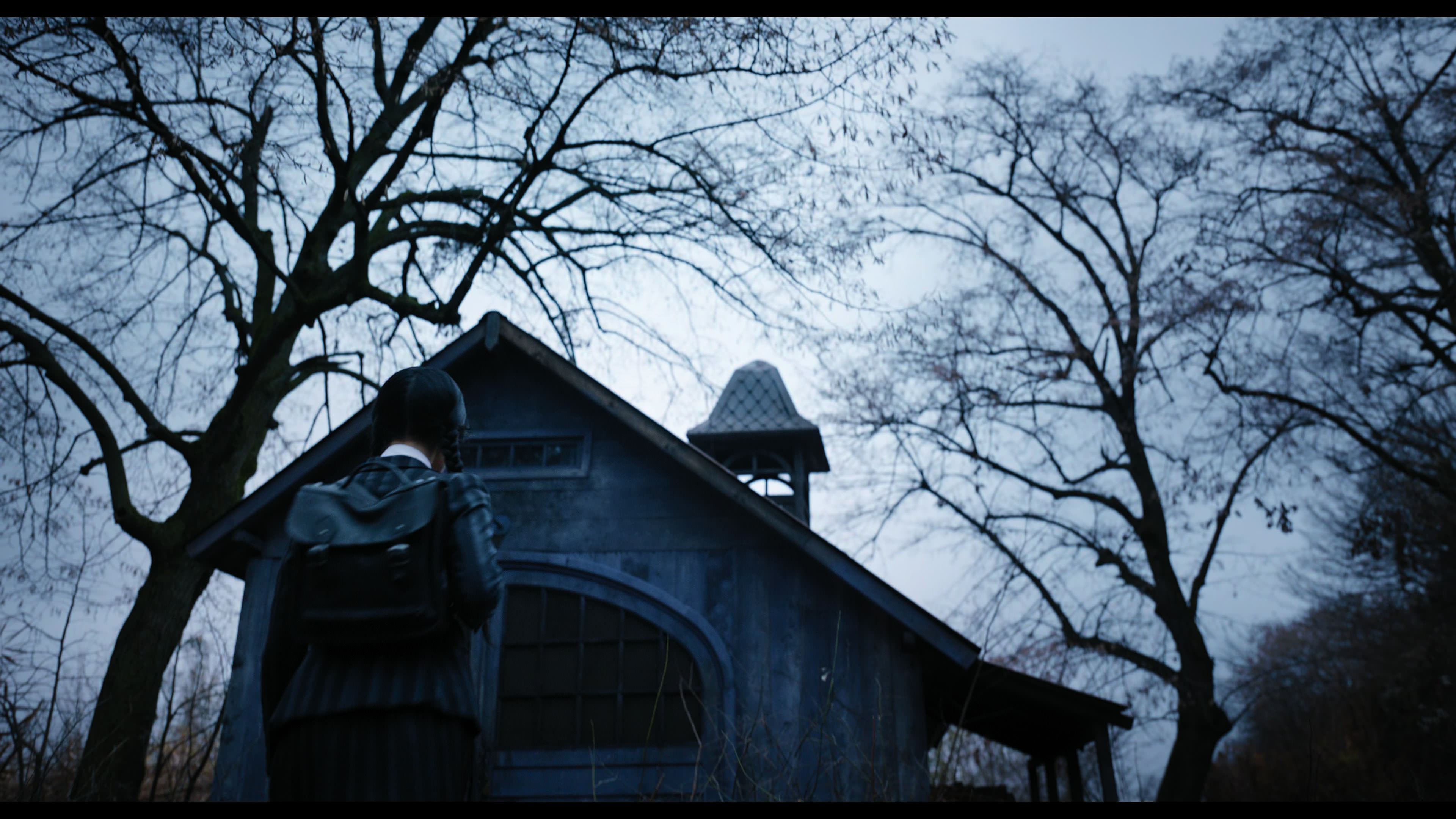 Wednesday S01E04 “Woe What a Night” movie still 1015