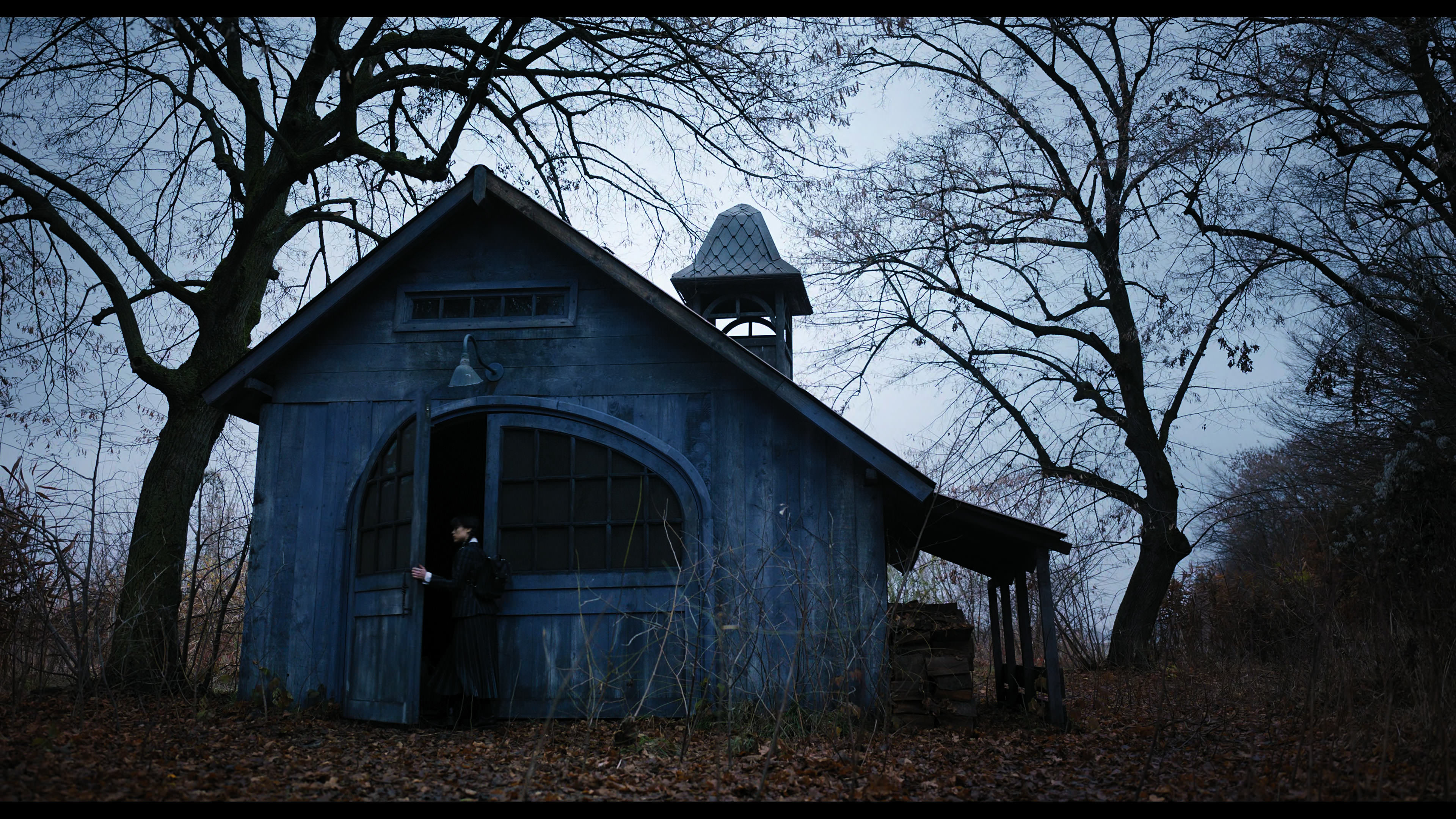 Wednesday S01E04 “Woe What a Night” movie still 1027