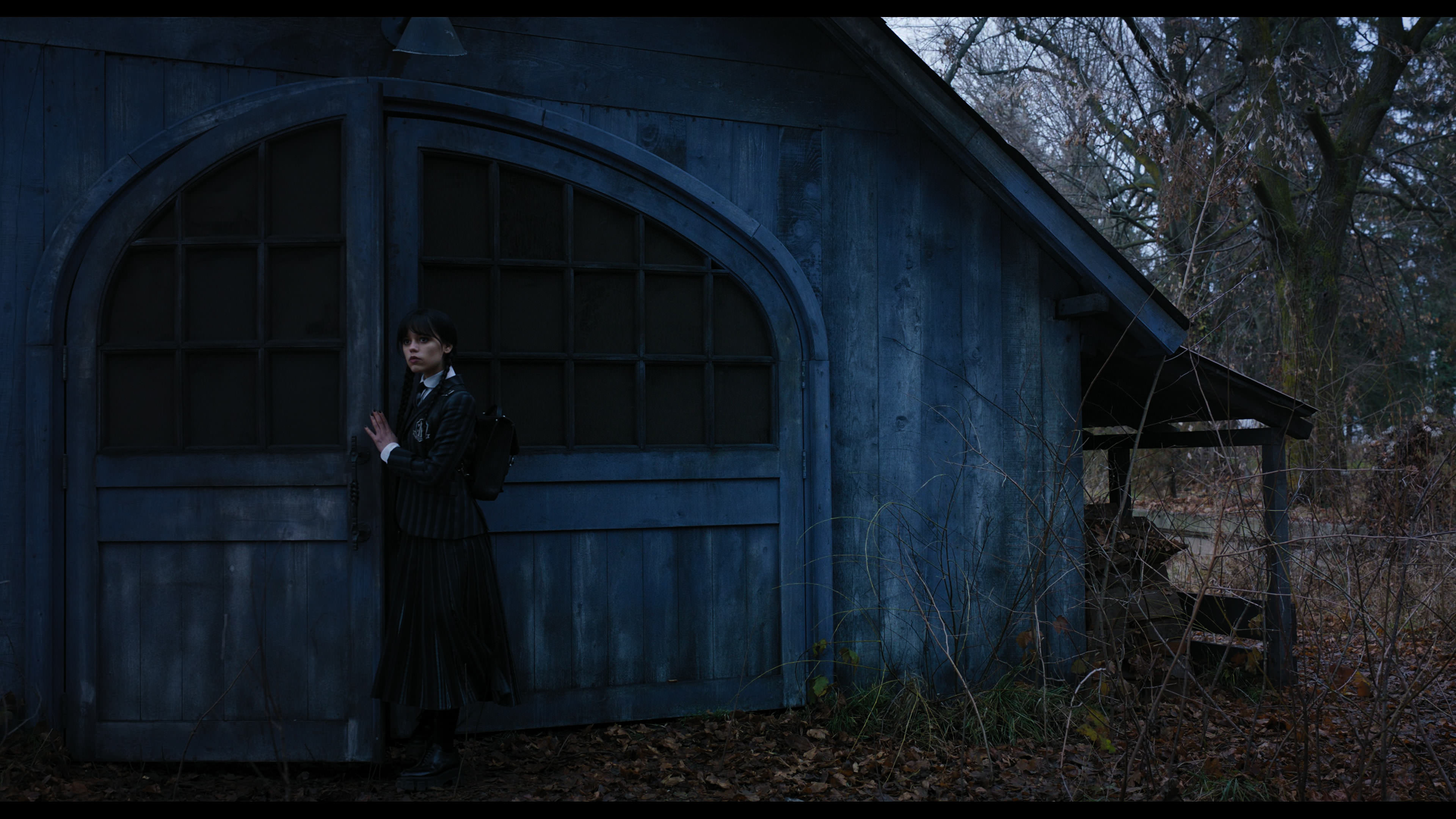 Wednesday S01E04 “Woe What a Night” movie still 1108