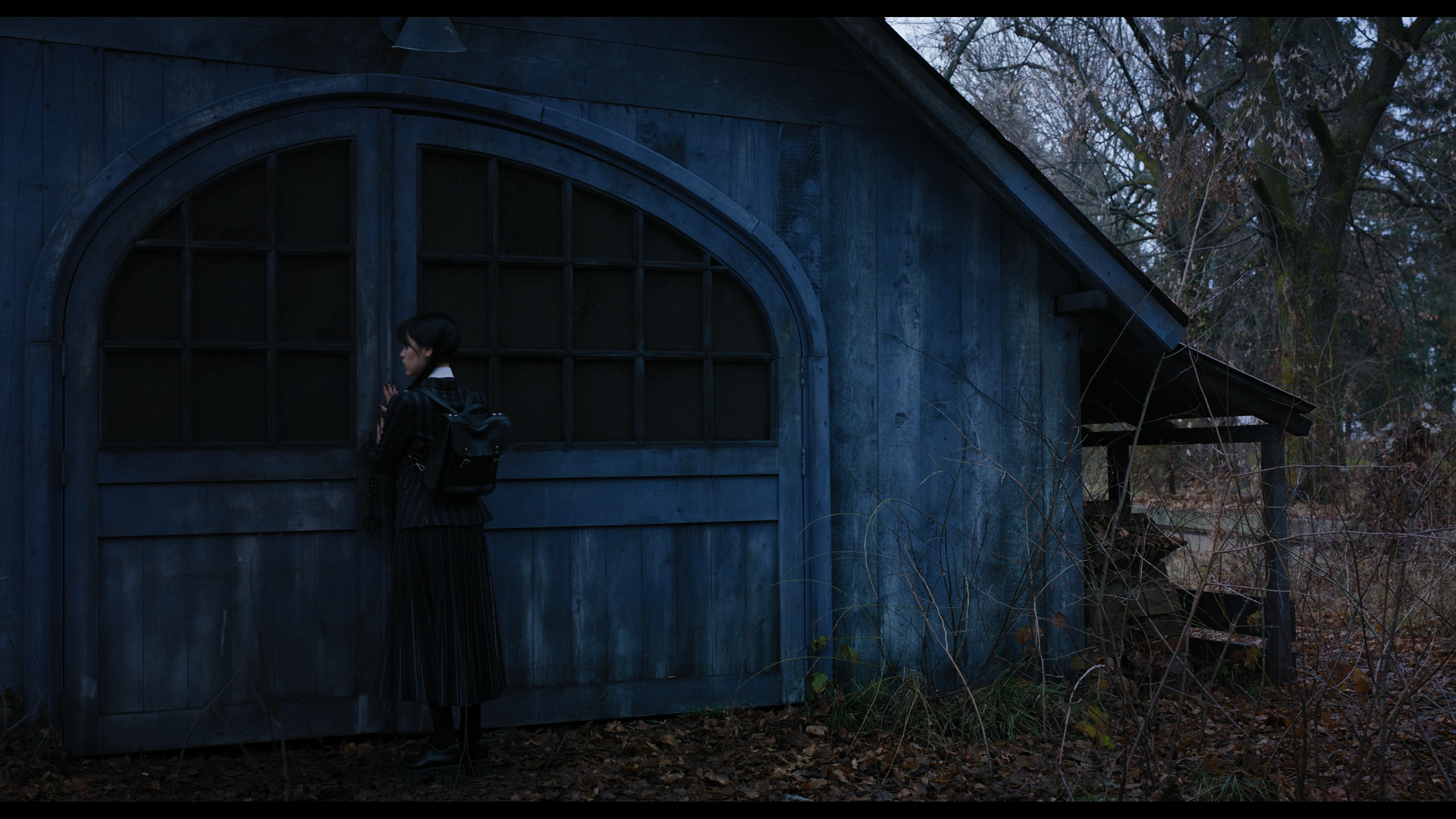 Wednesday S01E04 “Woe What a Night” movie still 1111