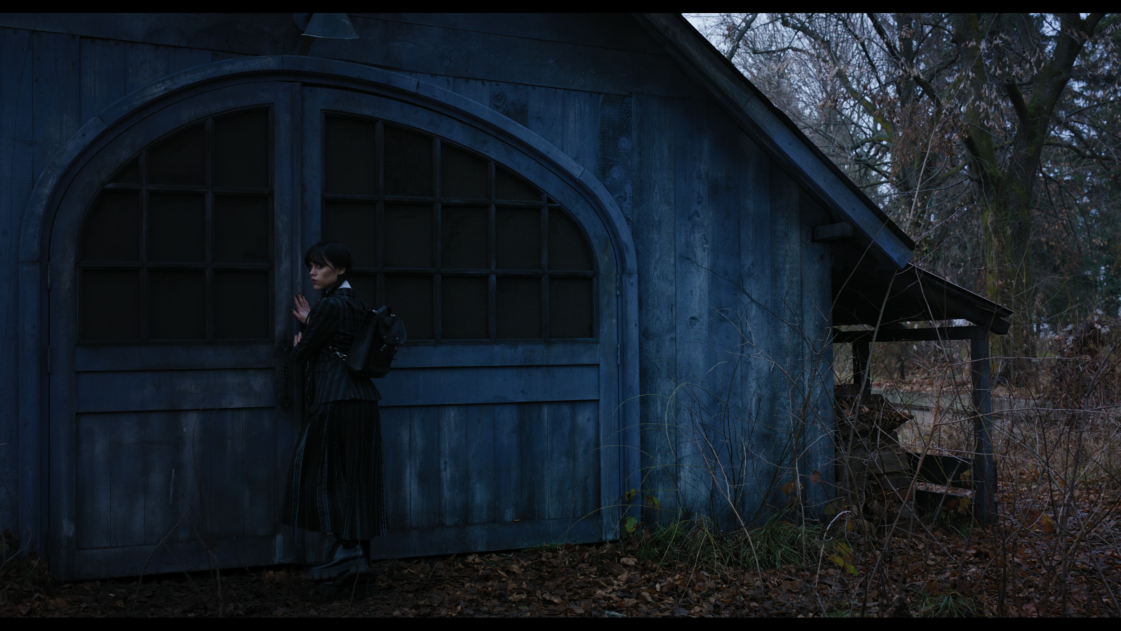 Wednesday S01E04 “Woe What a Night” screencap 1113