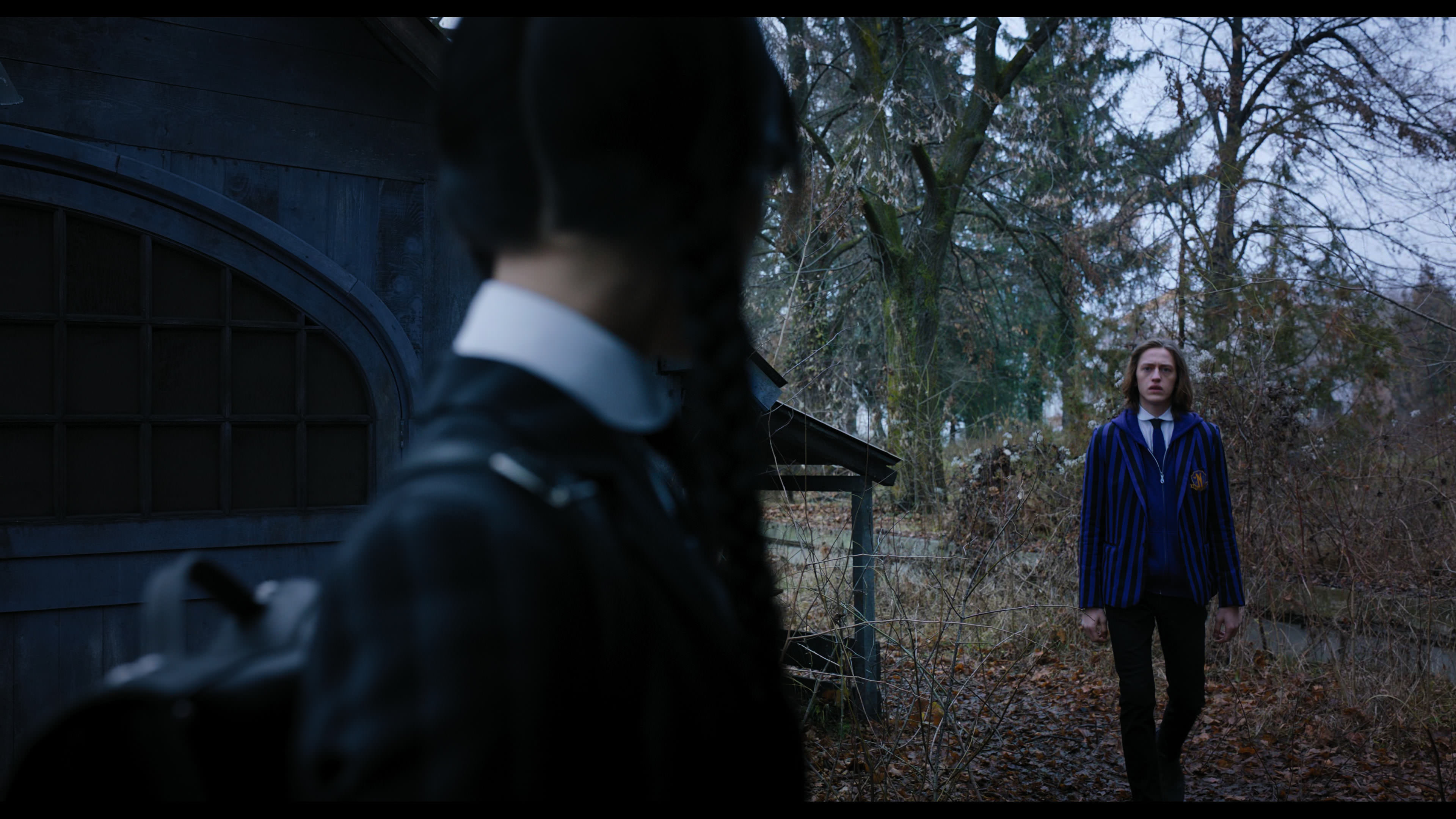 Wednesday S01E04 “Woe What a Night” HD screenshot 1127