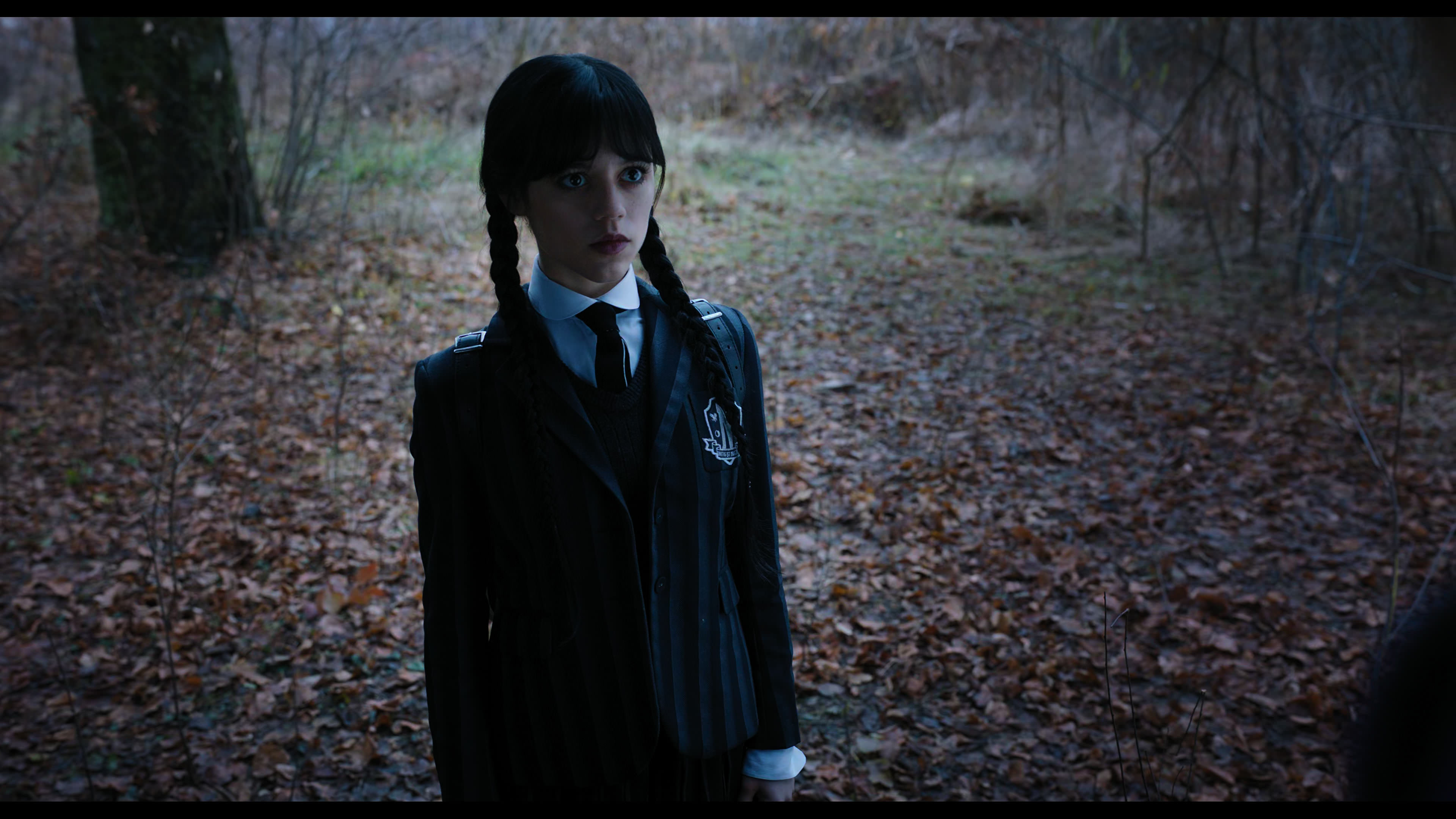 Wednesday S01E04 “Woe What a Night” movie still 1132