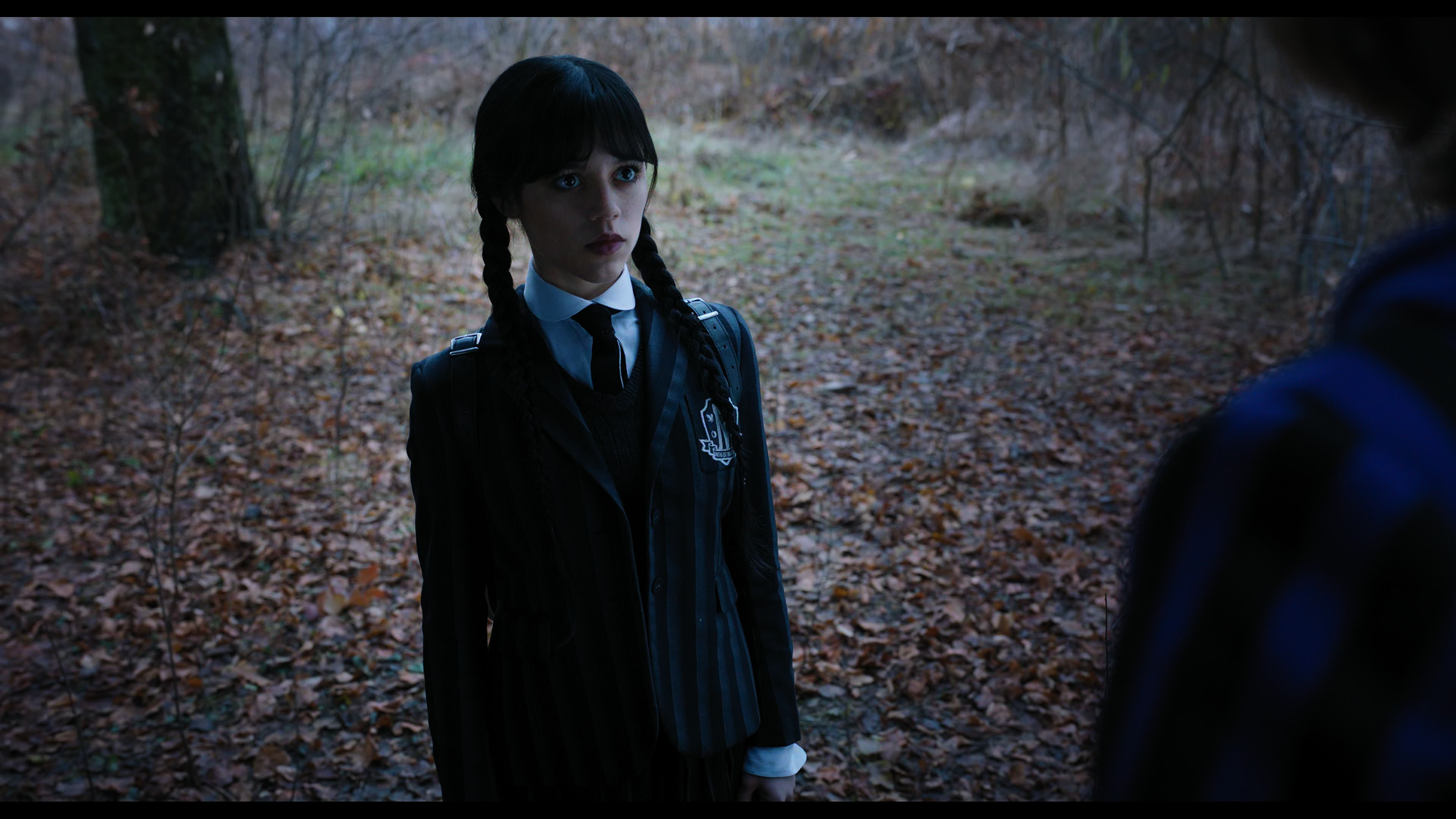 Wednesday S01E04 “Woe What a Night” HD screenshot 1133
