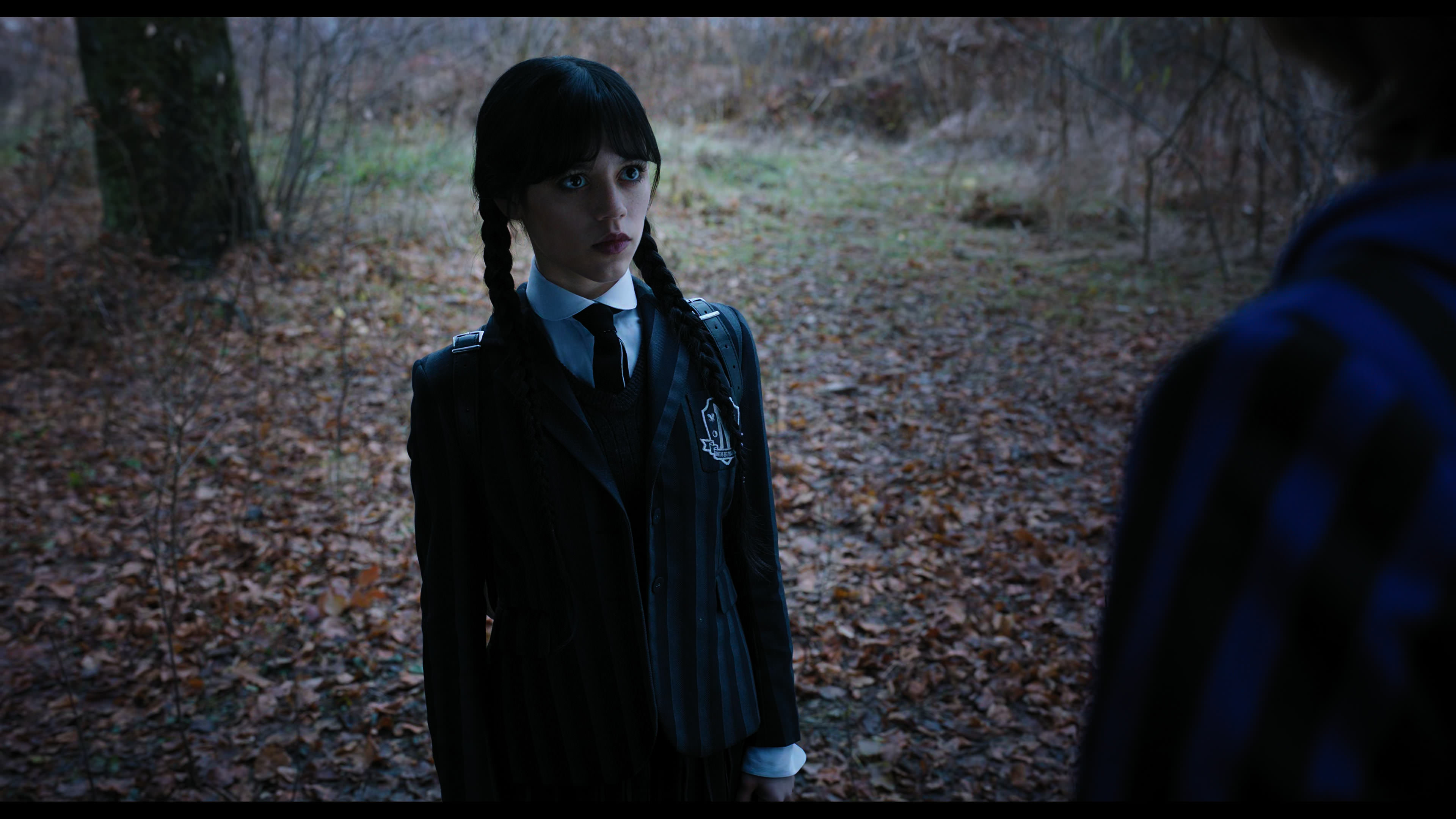 Wednesday S01E04 “Woe What a Night” screencap 1134