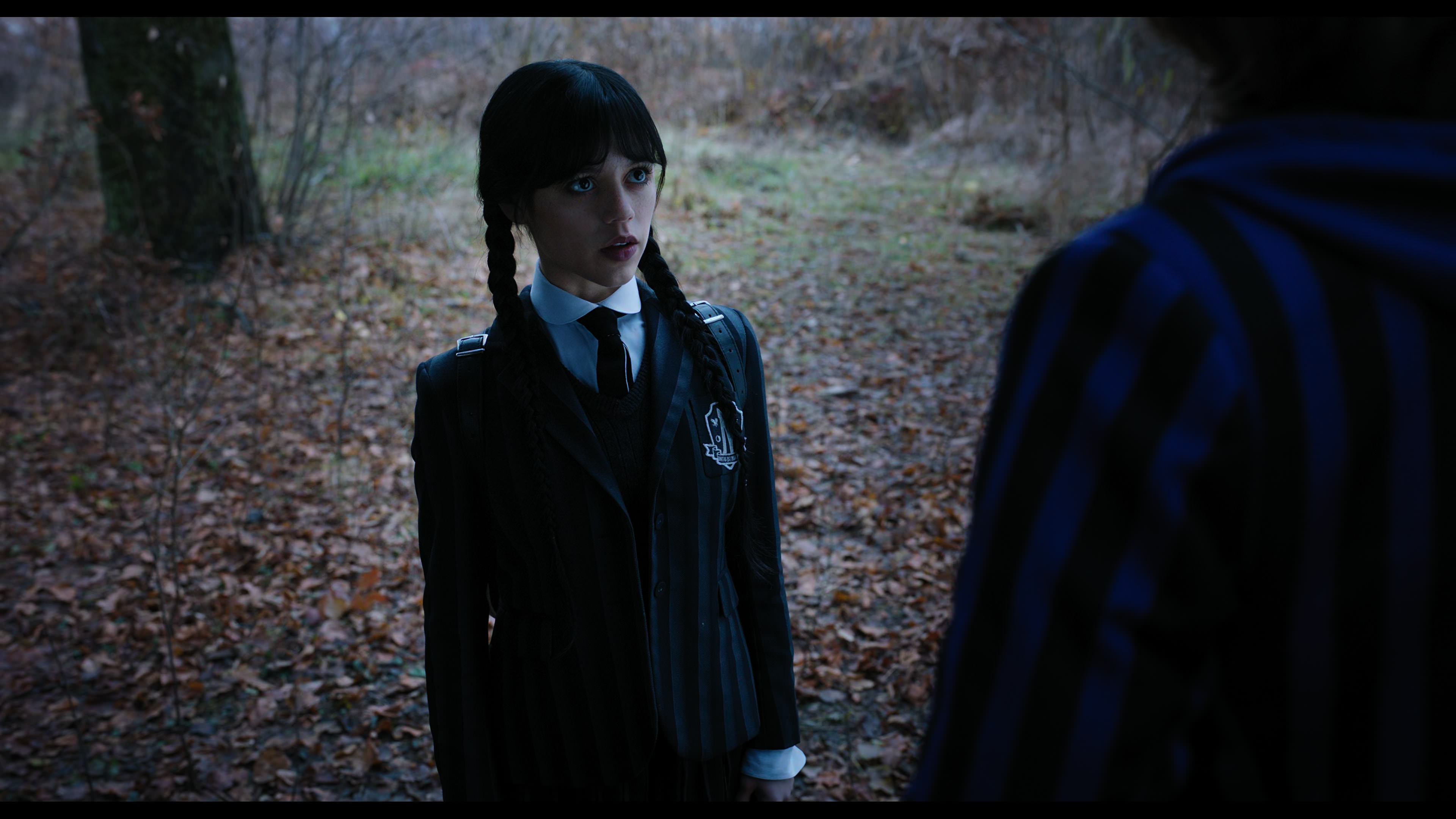Wednesday S01E04 “Woe What a Night” screencap 1137
