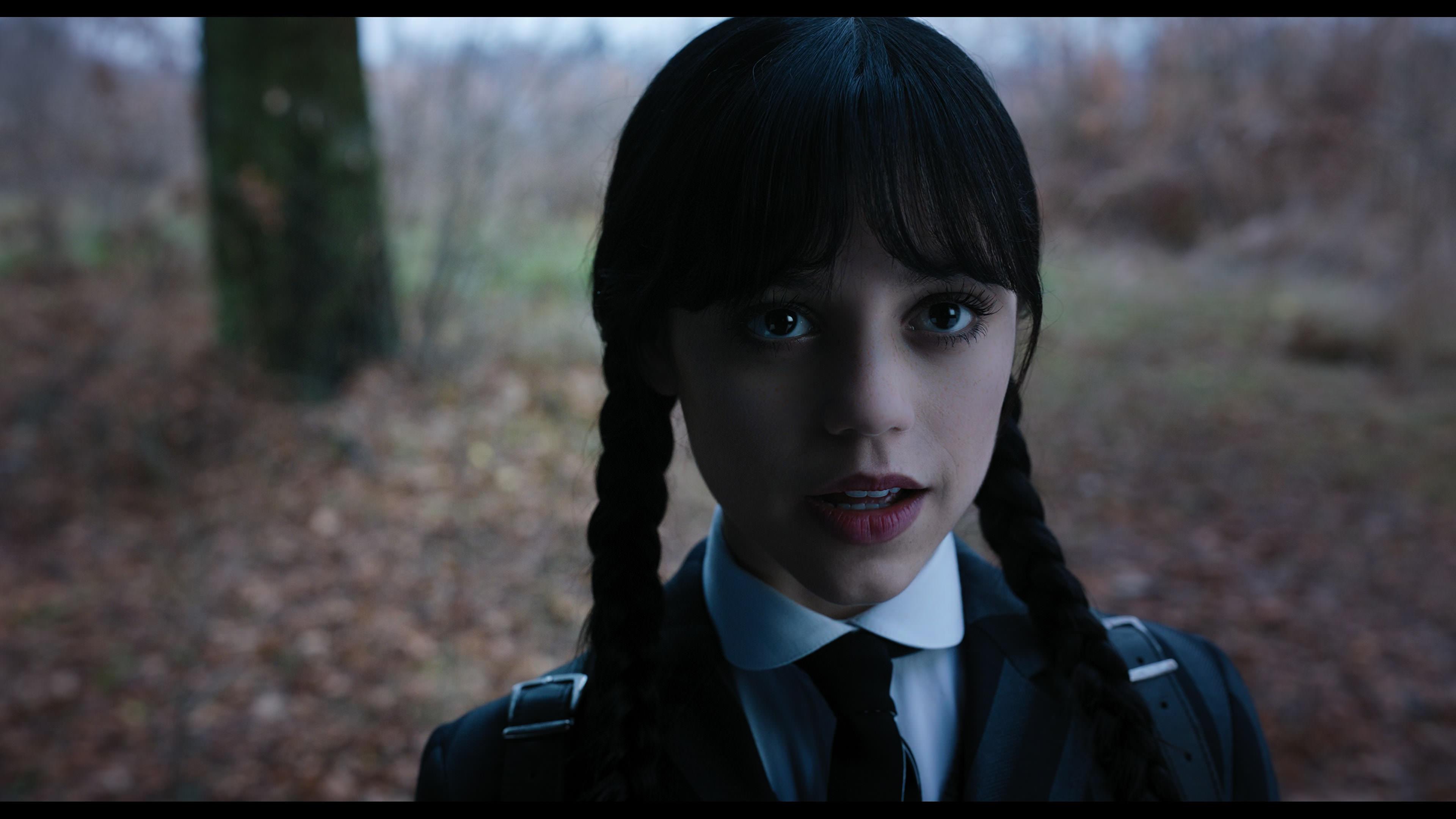 Wednesday S01E04 “Woe What a Night” movie still 1171