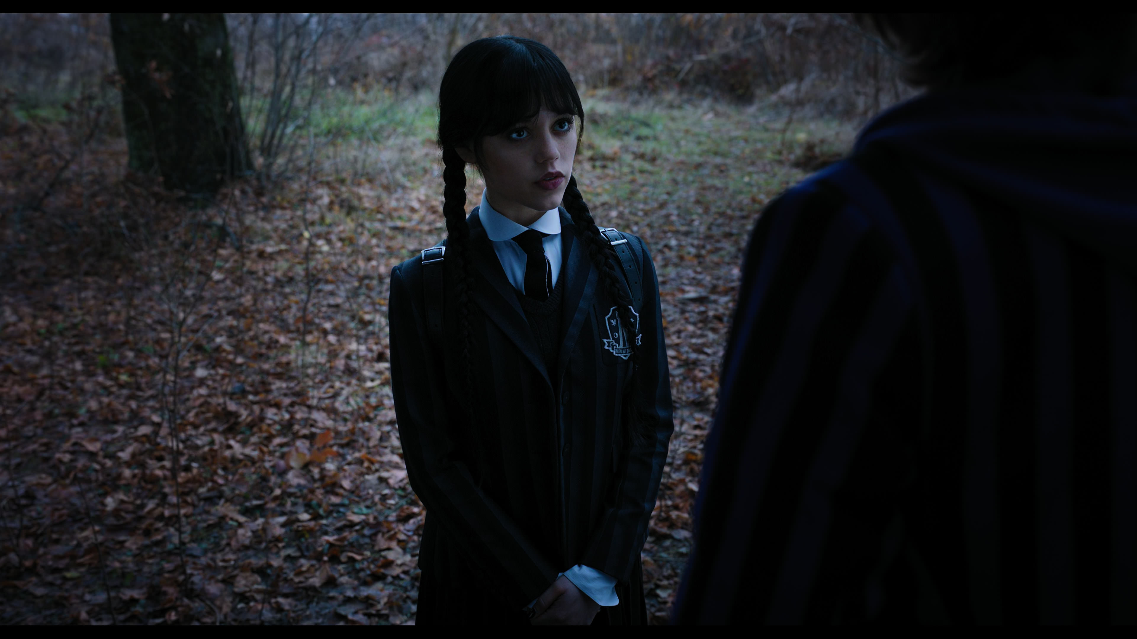 Wednesday S01E04 “Woe What a Night” screencap 1209
