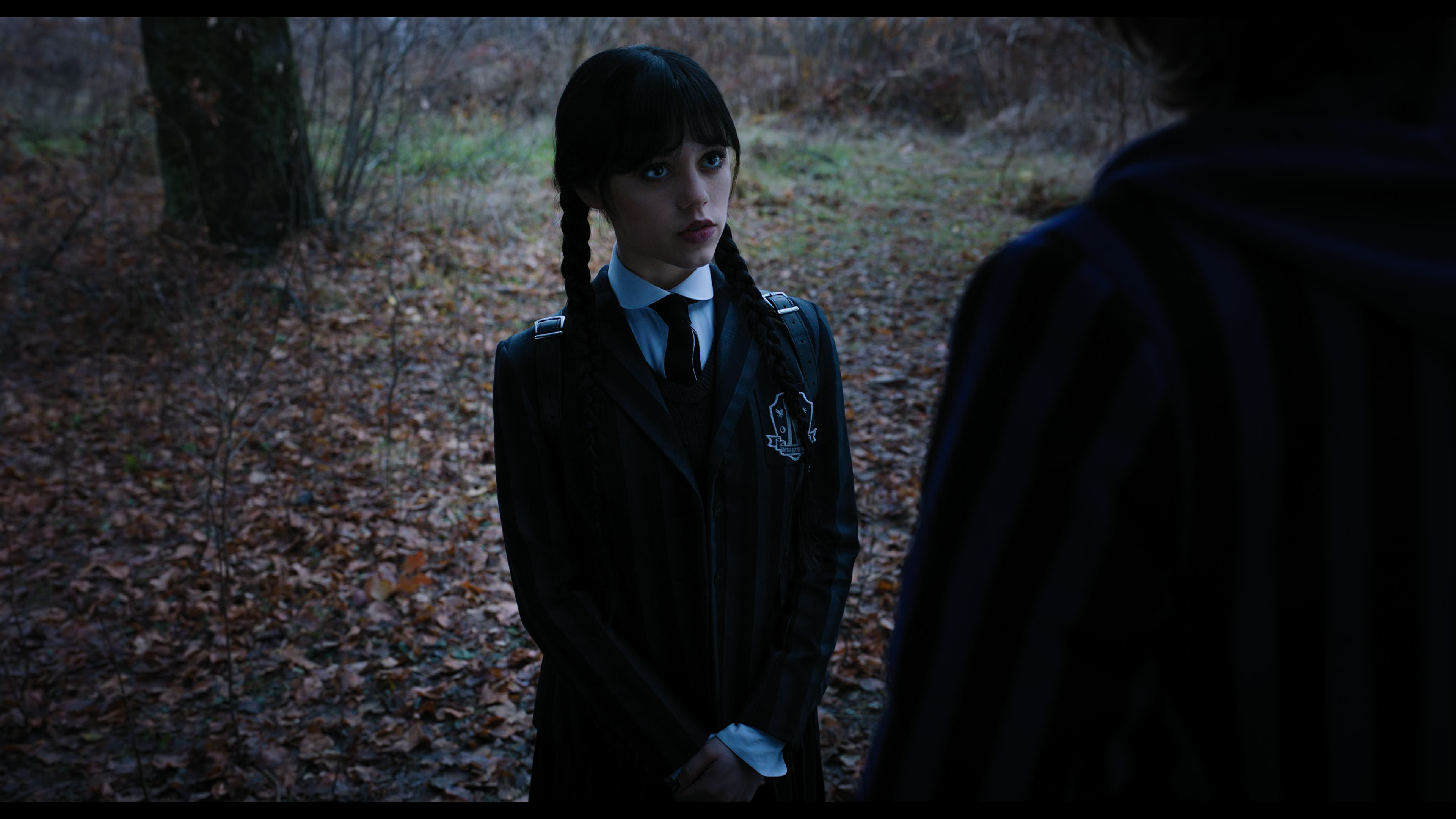 Wednesday S01E04 “Woe What a Night” HD screenshot 1211