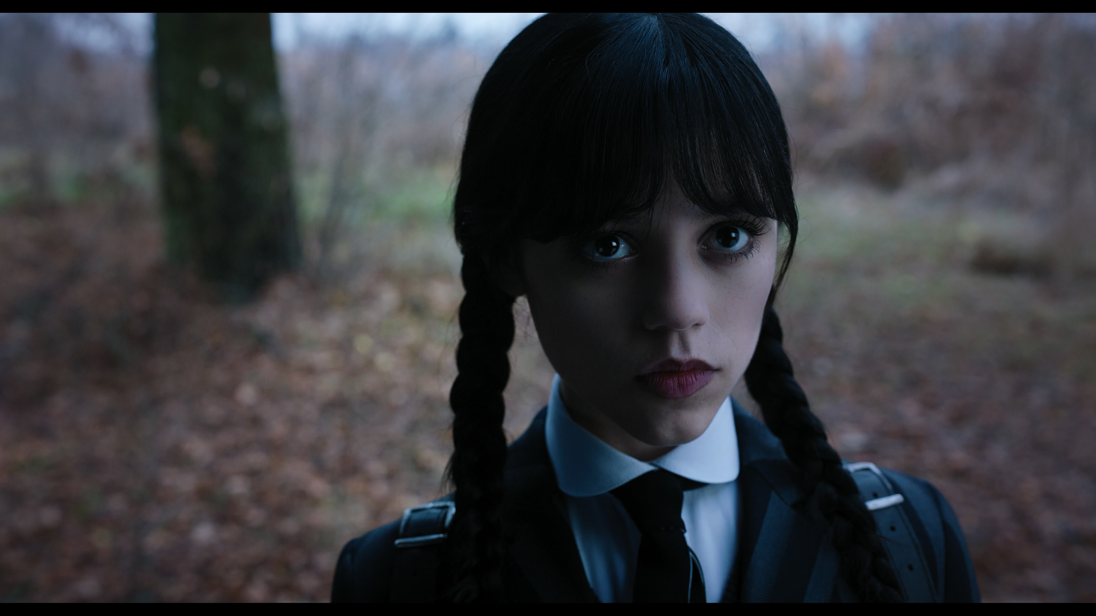 Wednesday S01E04 “Woe What a Night” screencap 1224