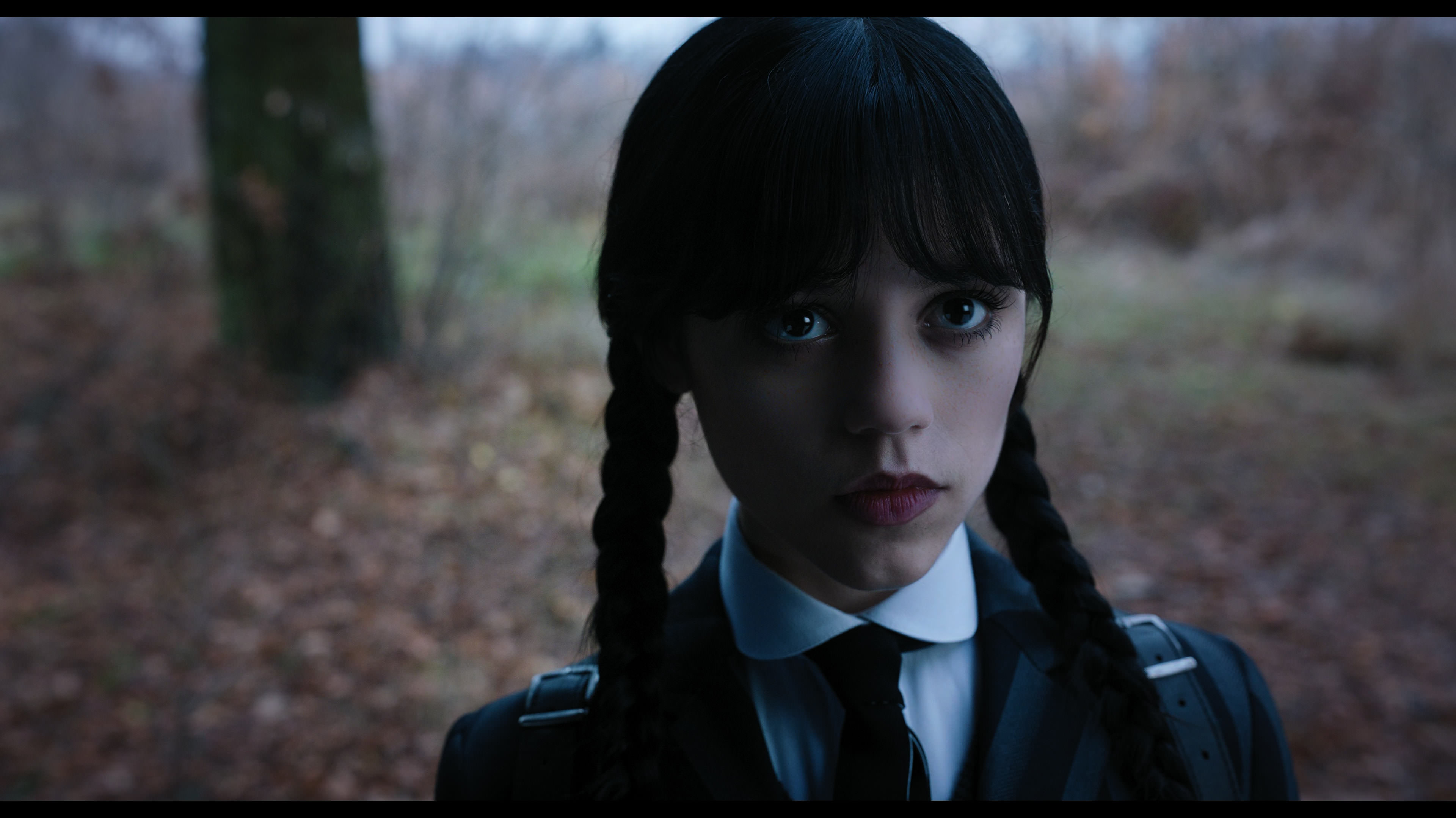 Wednesday S01E04 “Woe What a Night” screencap 1227
