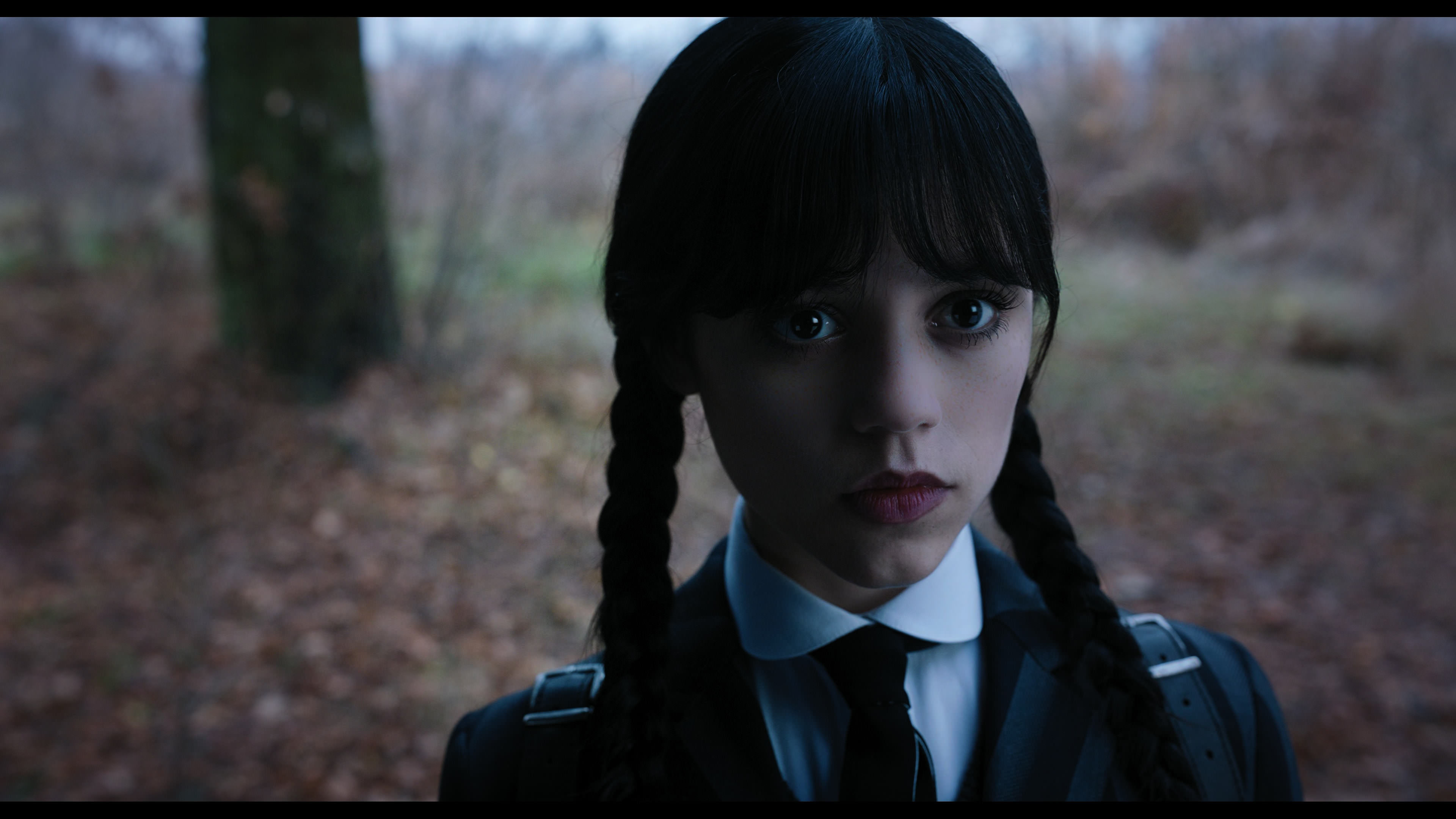 Wednesday S01E04 “Woe What a Night” screencap 1230