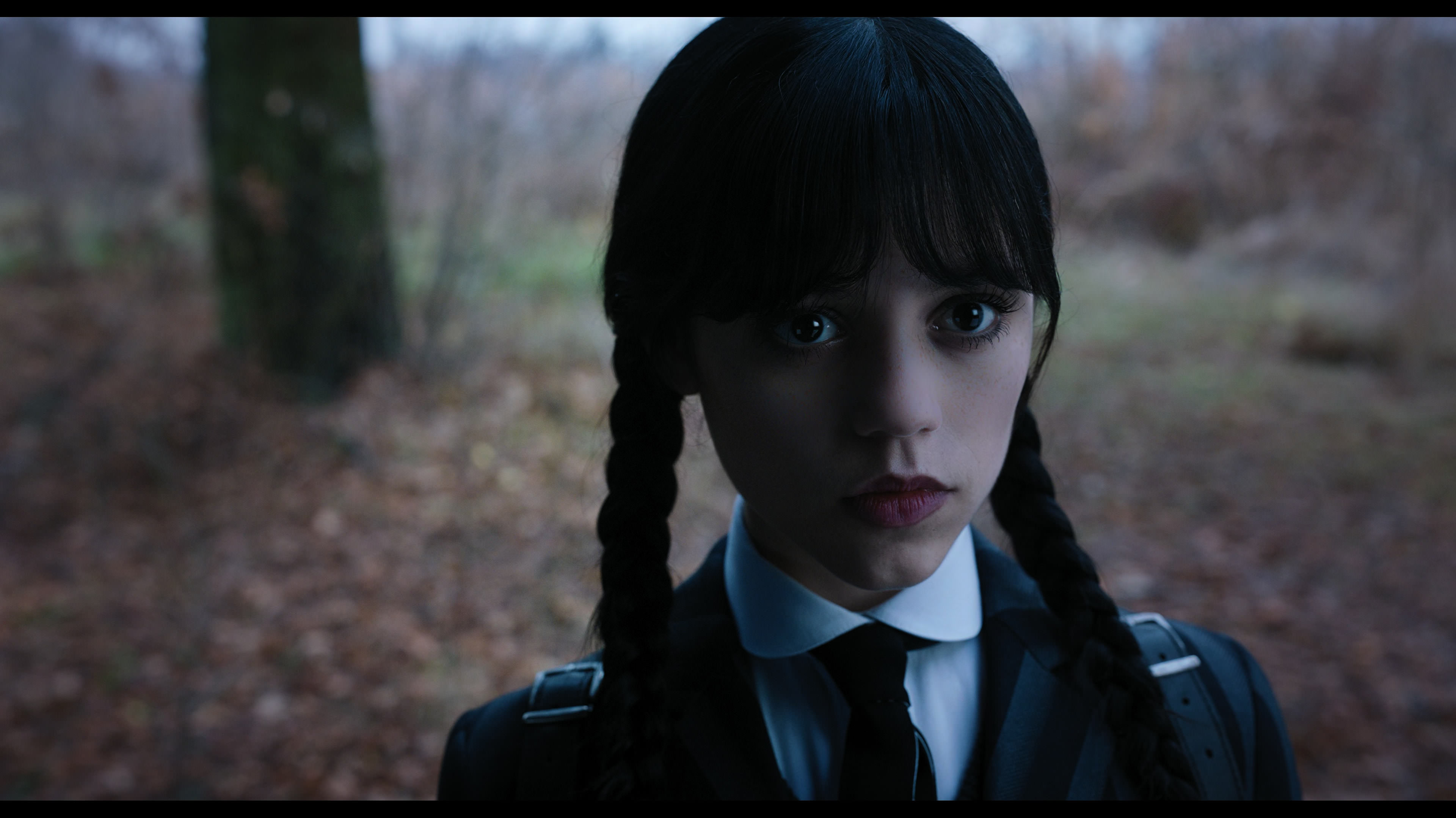 Wednesday S01E04 “Woe What a Night” HD screenshot 1232