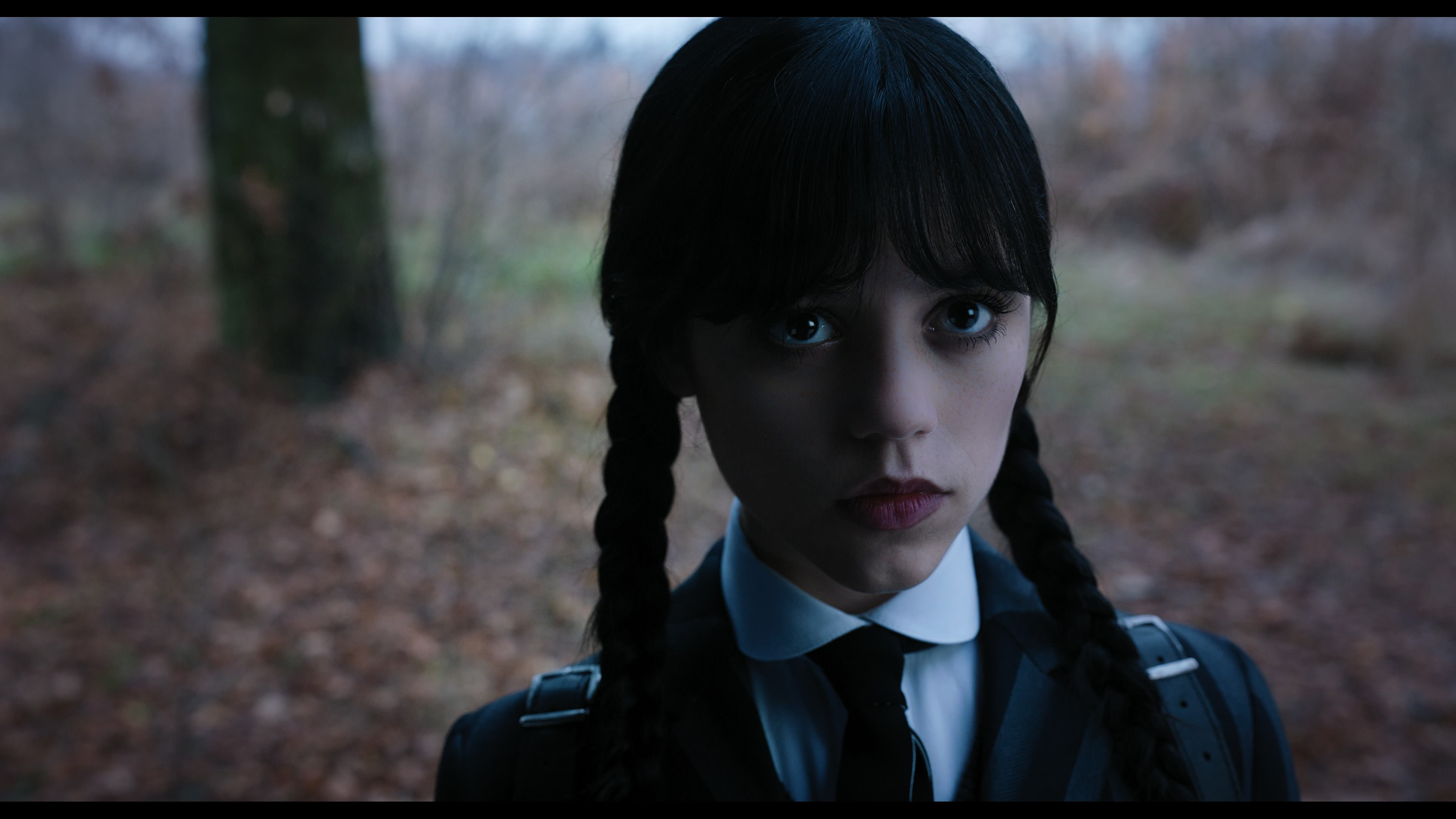 Wednesday S01E04 “Woe What a Night” movie still 1234