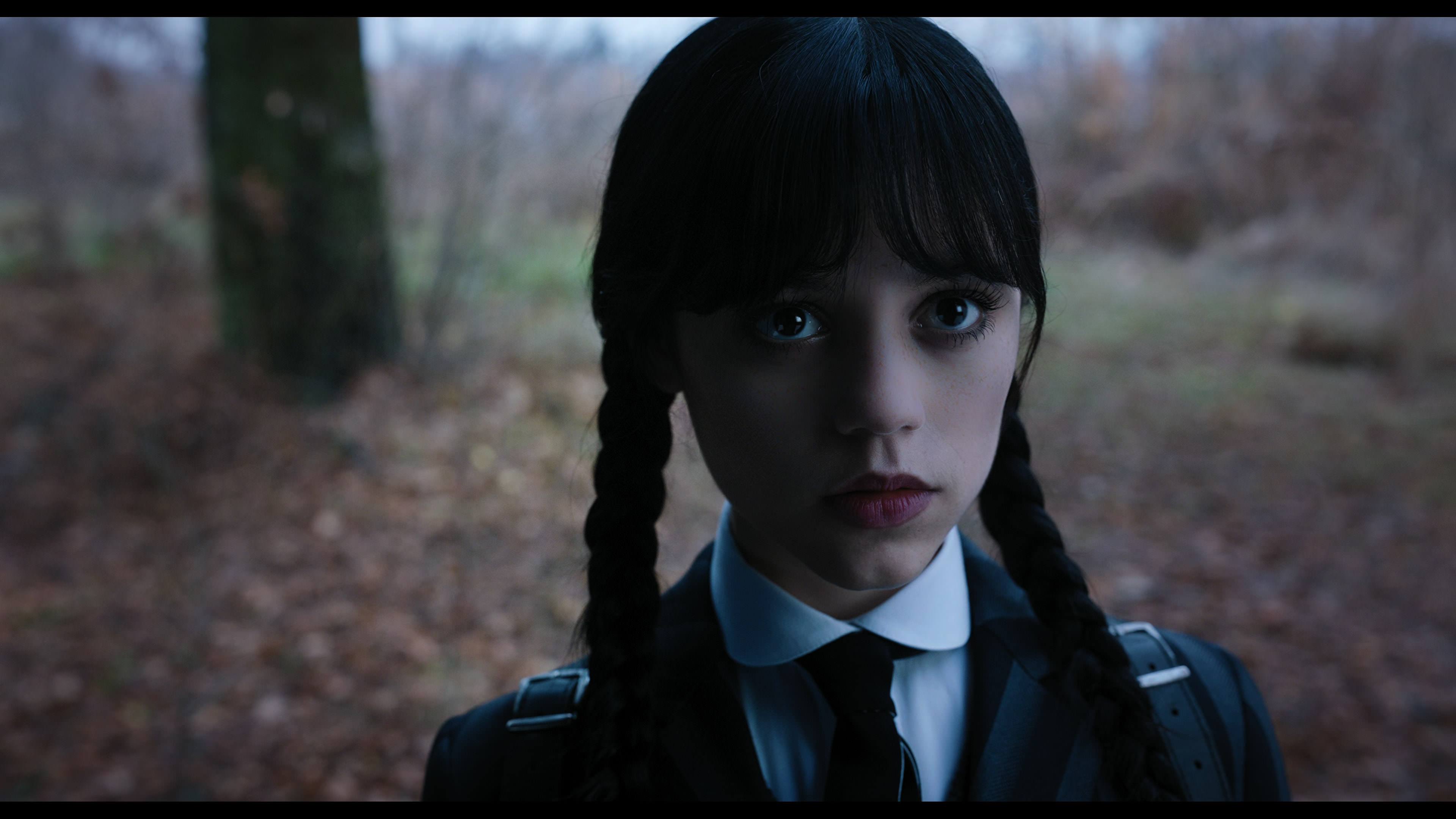 Wednesday S01E04 “Woe What a Night” movie still 1252