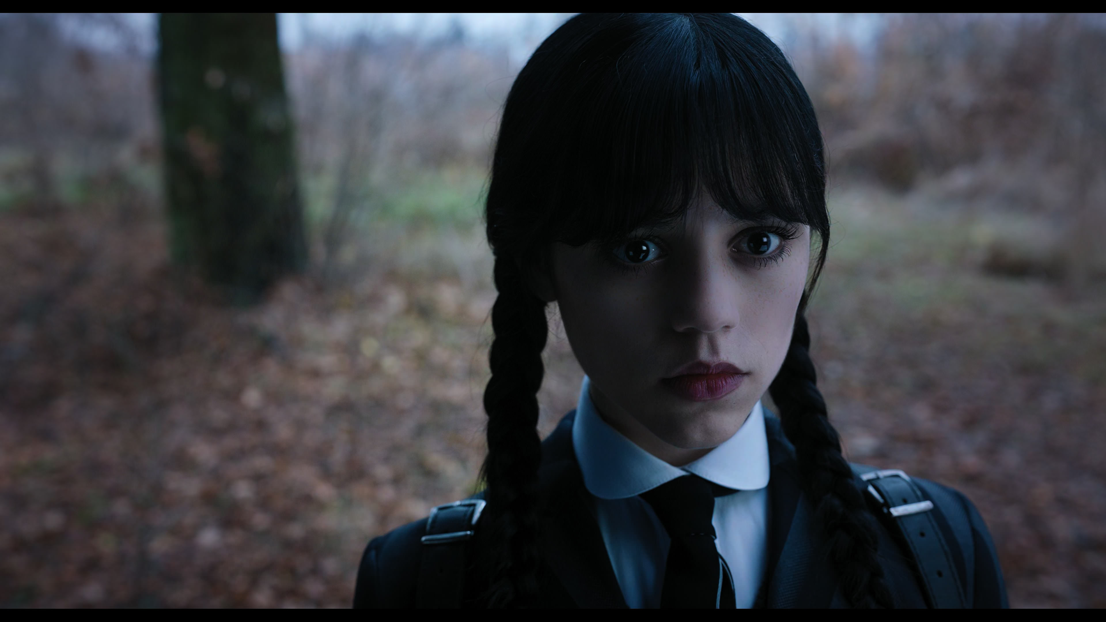 Wednesday S01E04 “Woe What a Night” movie still 1261