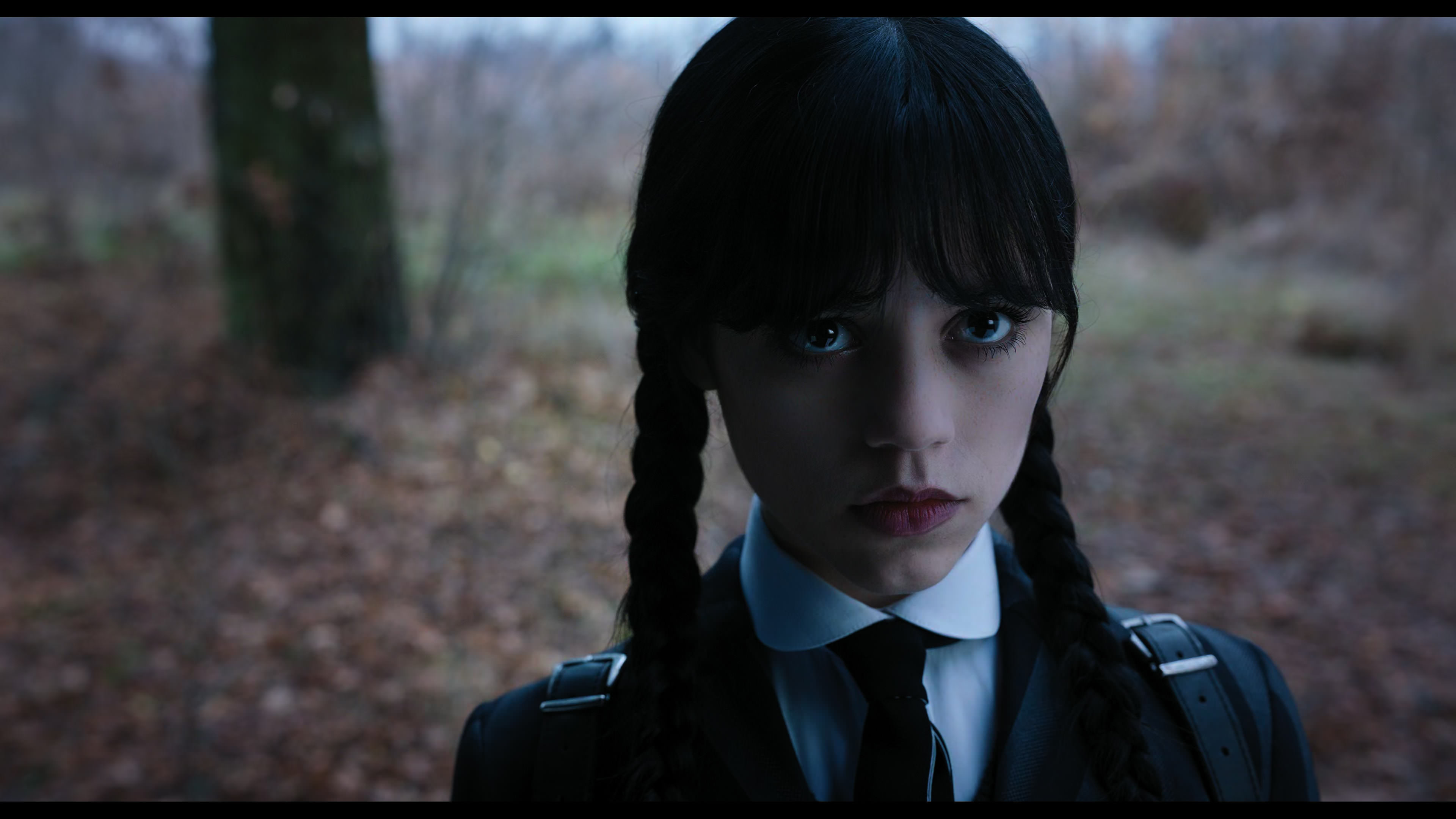 Wednesday S01E04 “Woe What a Night” screencap 1281