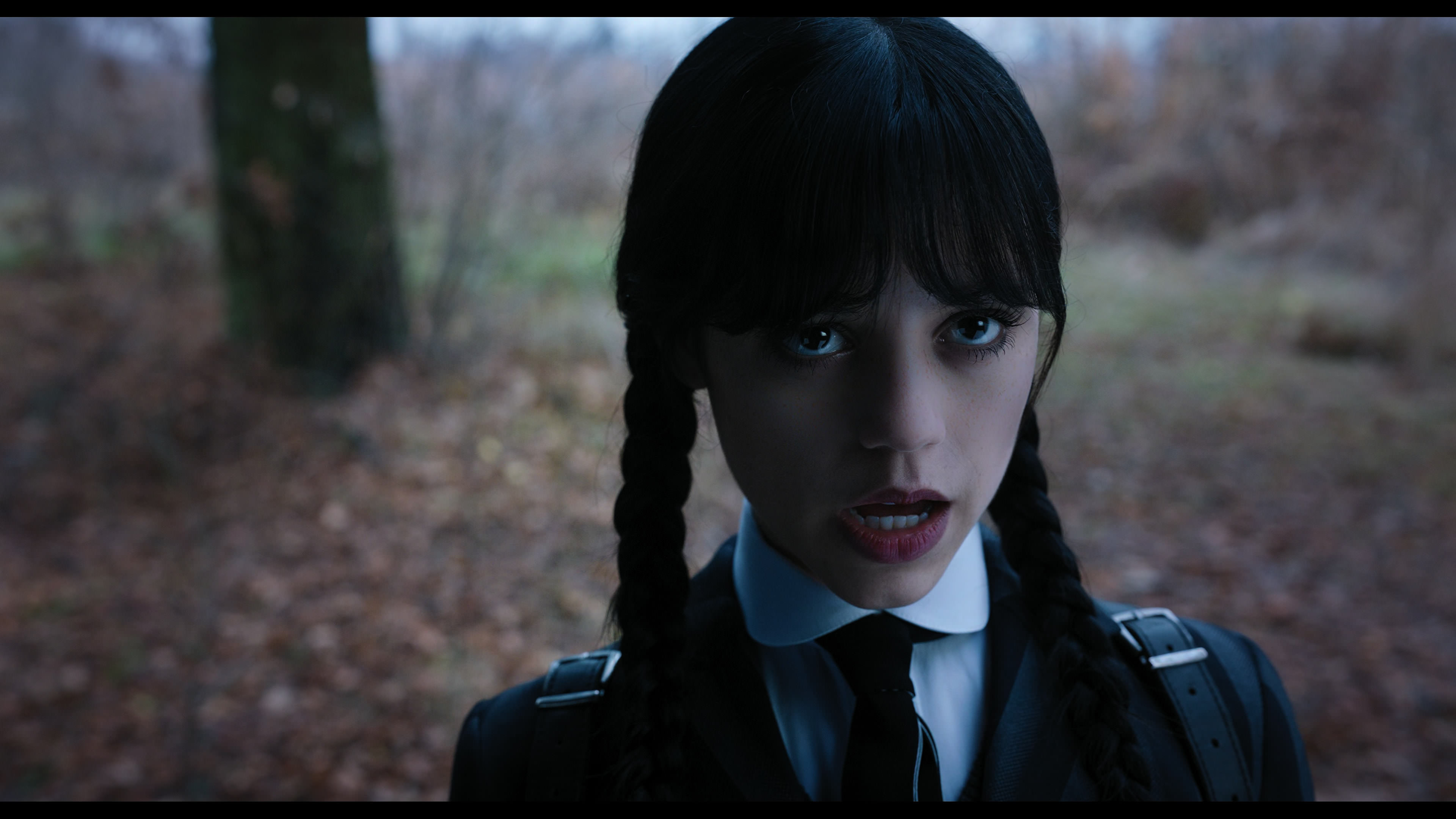 Wednesday S01E04 “Woe What a Night” screencap 1290