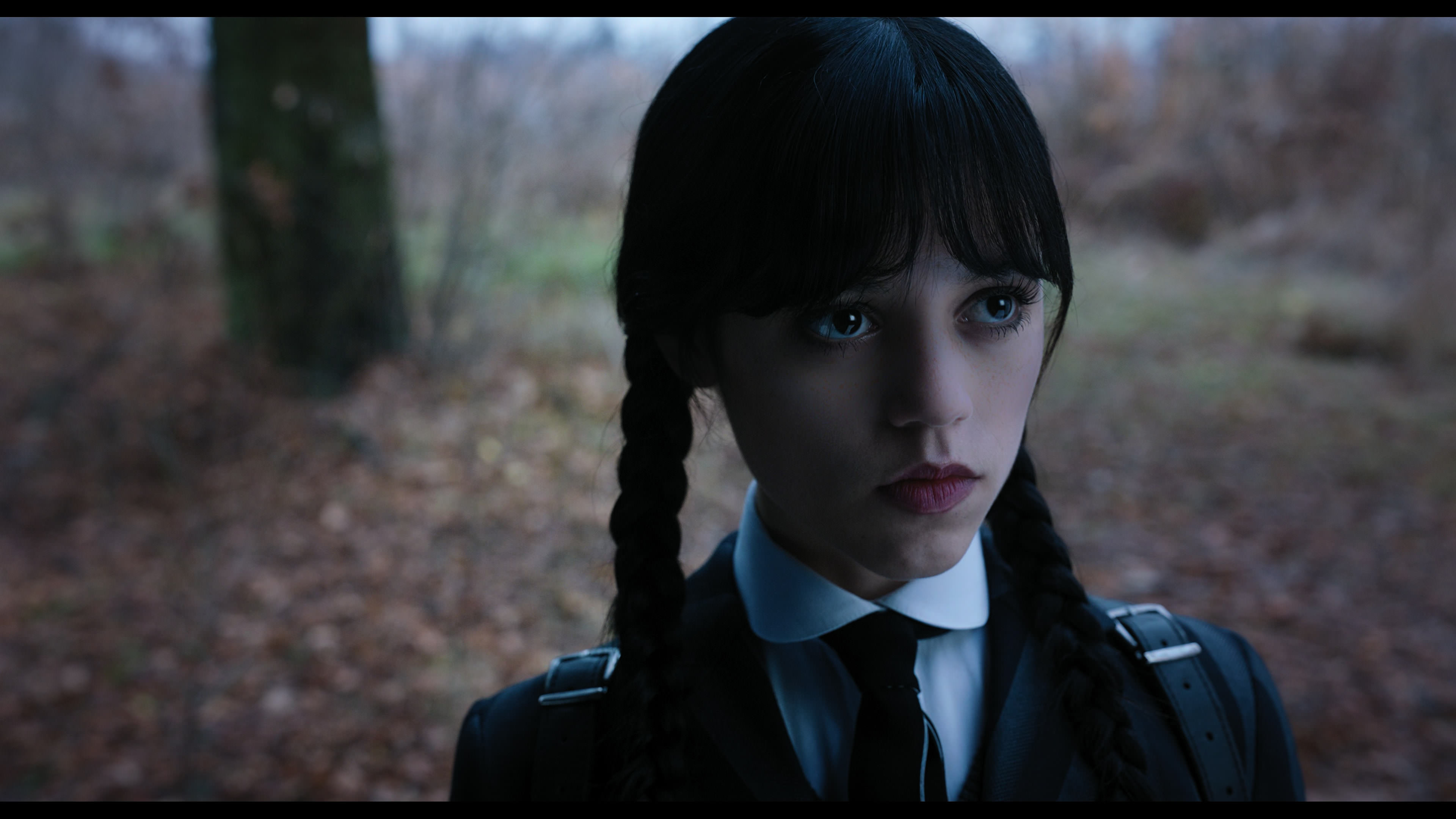Wednesday S01E04 “Woe What a Night” screencap 1302