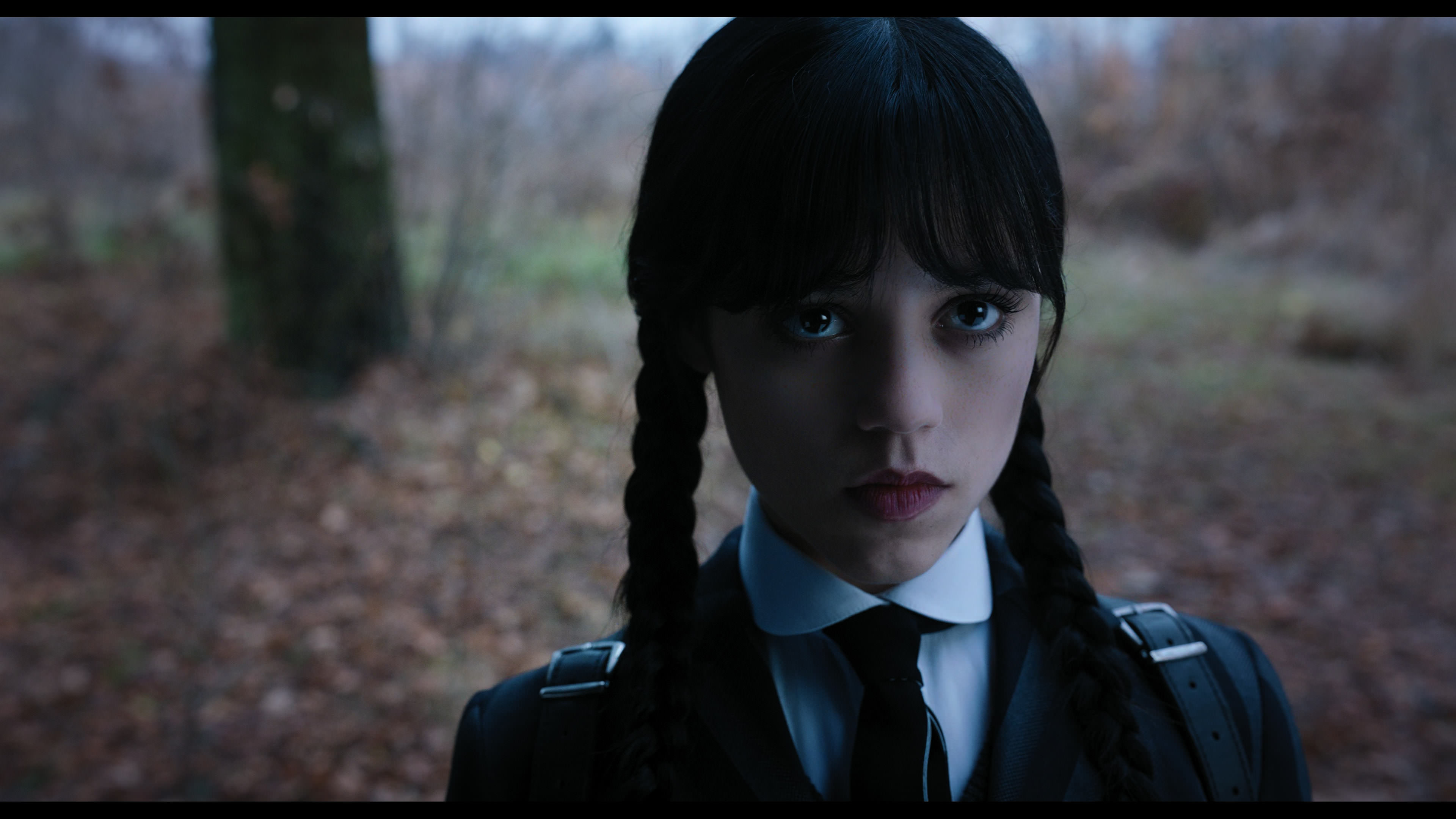 Wednesday S01E04 “Woe What a Night” screencap 1305