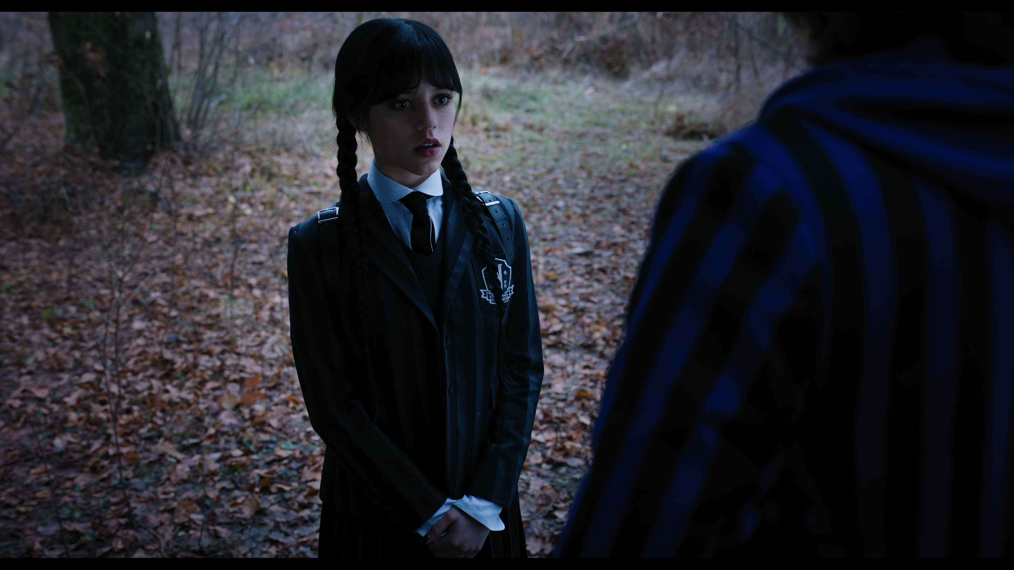 Wednesday S01E04 “Woe What a Night” screencap 1314