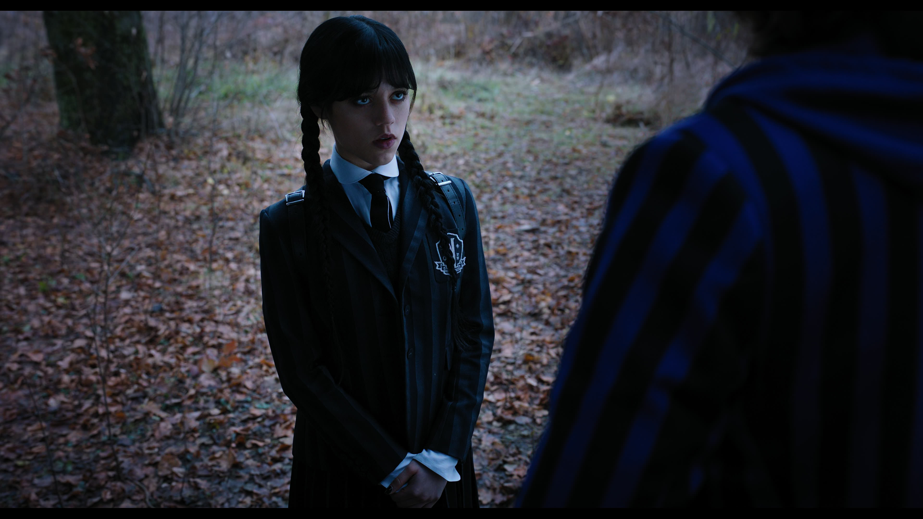 Wednesday S01E04 “Woe What a Night” HD screenshot 1322