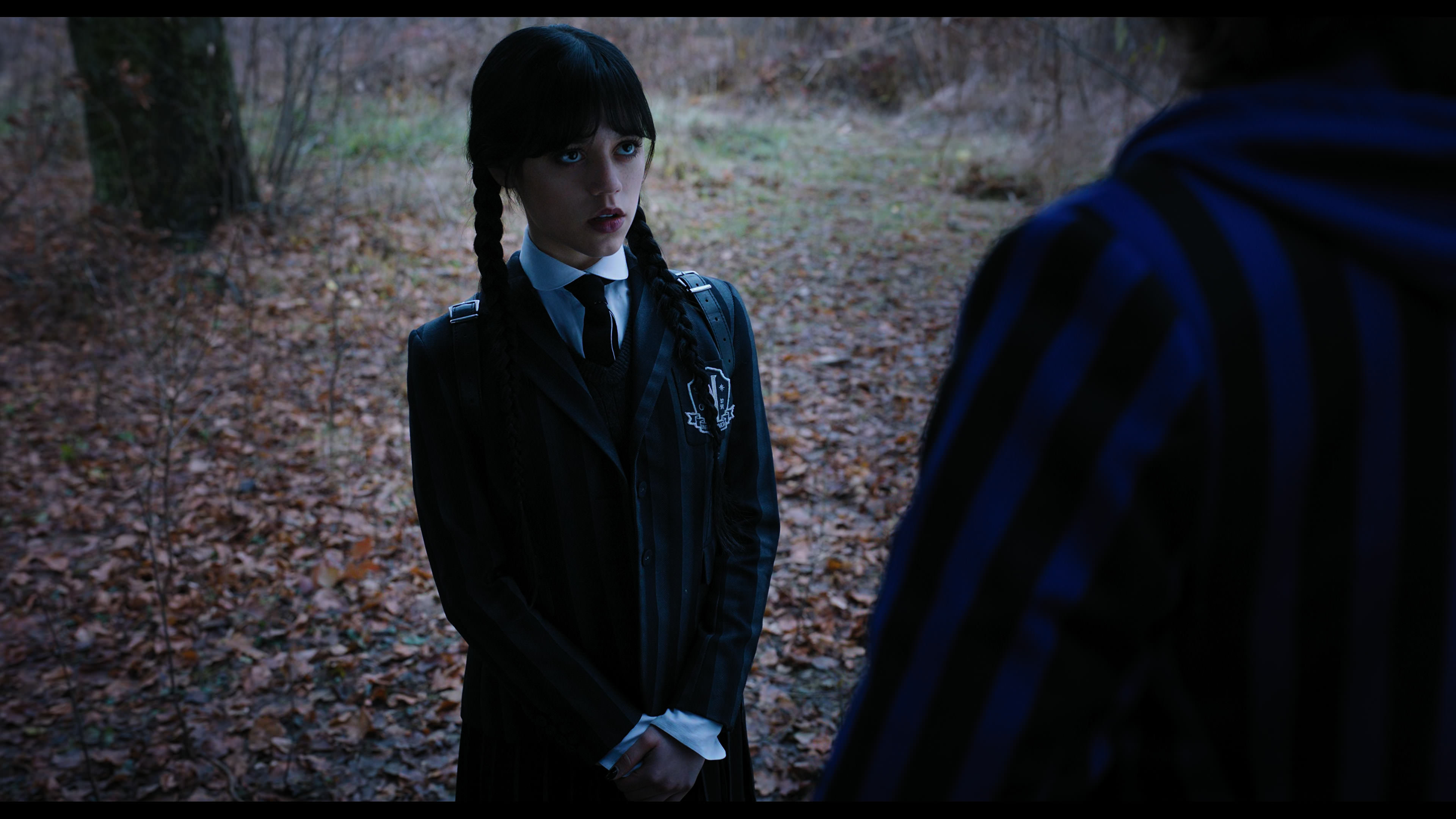 Wednesday S01E04 “Woe What a Night” screencap 1323