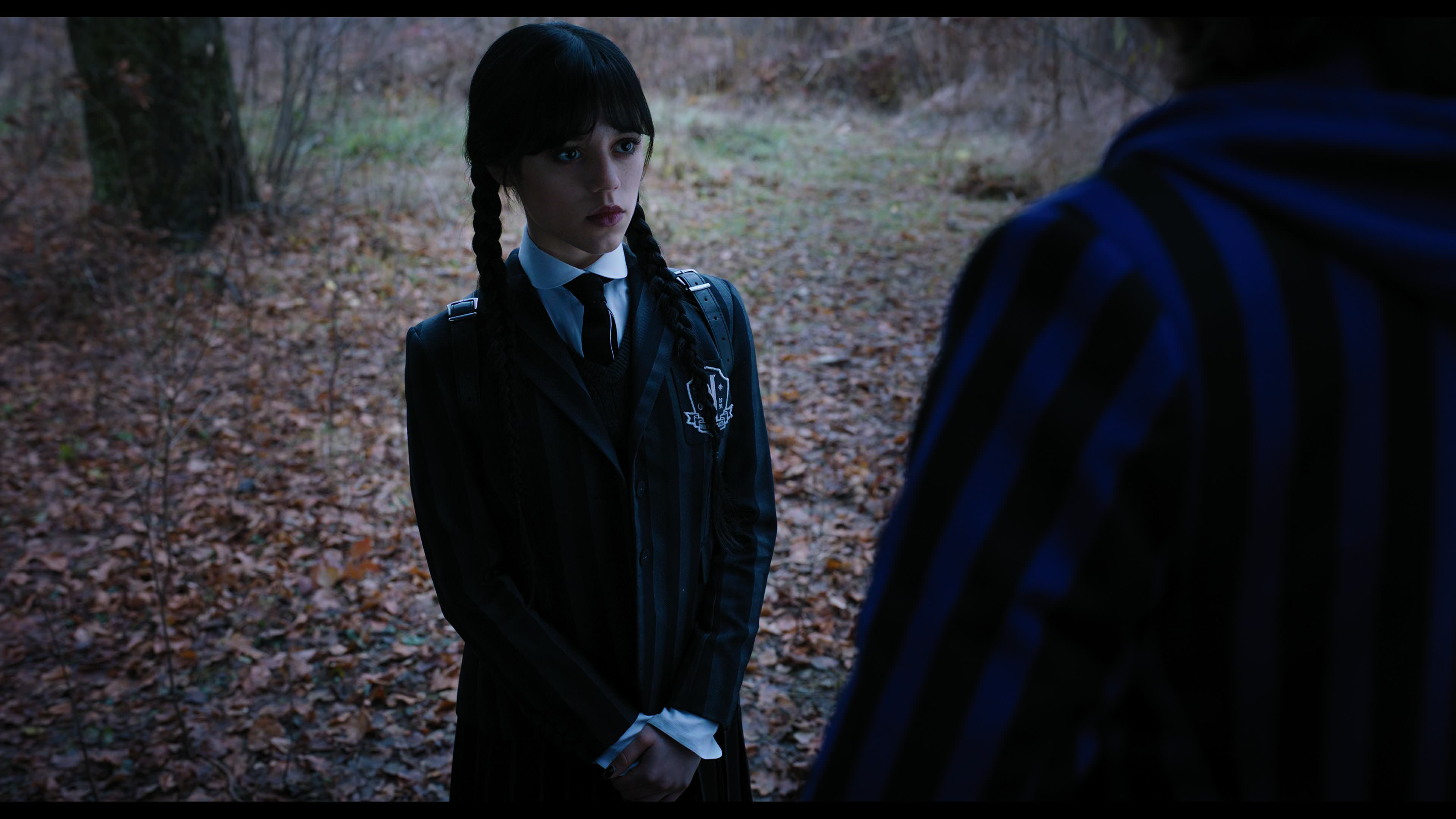 Wednesday S01E04 “Woe What a Night” screencap 1326