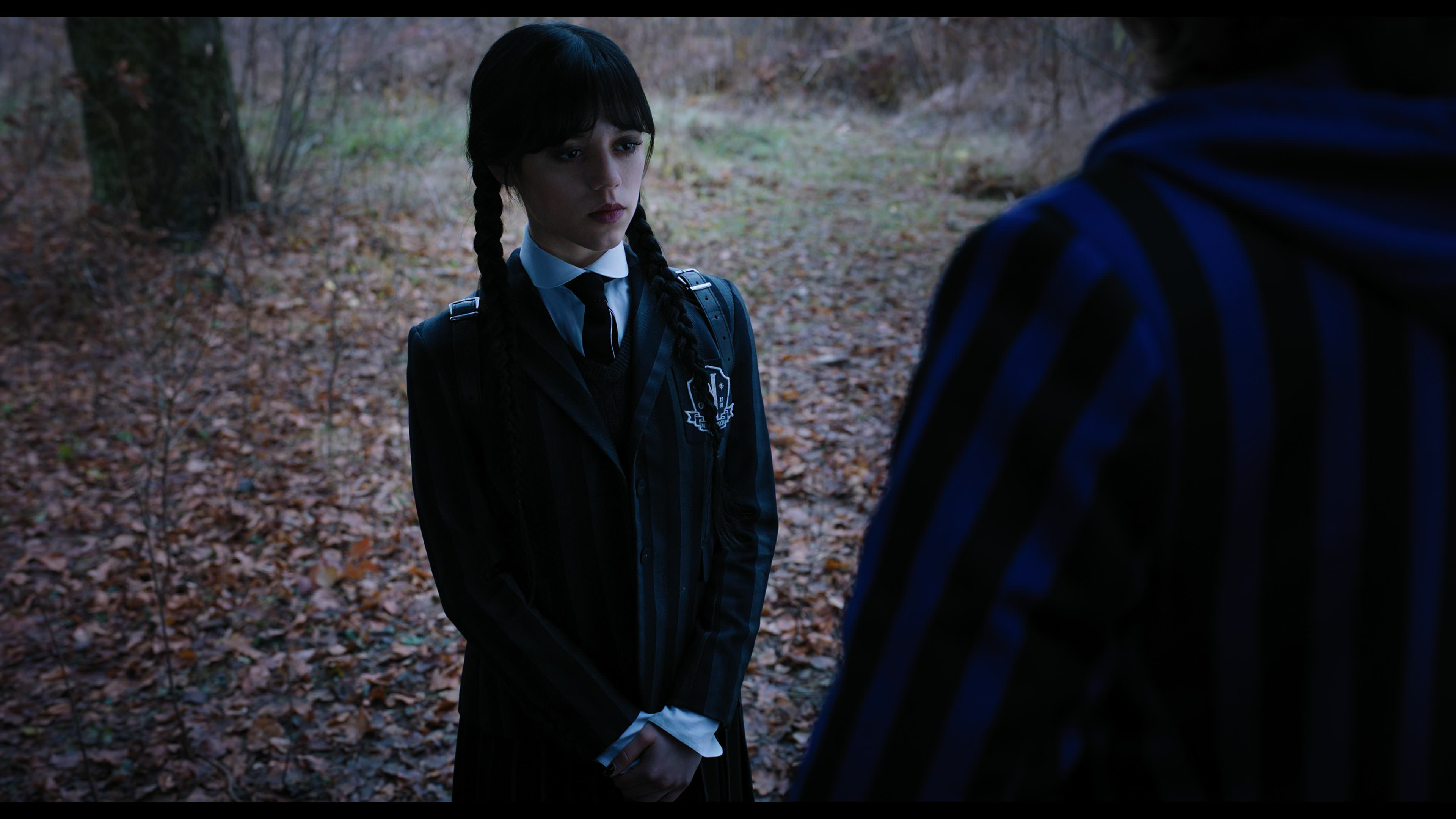 Wednesday S01E04 “Woe What a Night” screencap 1329
