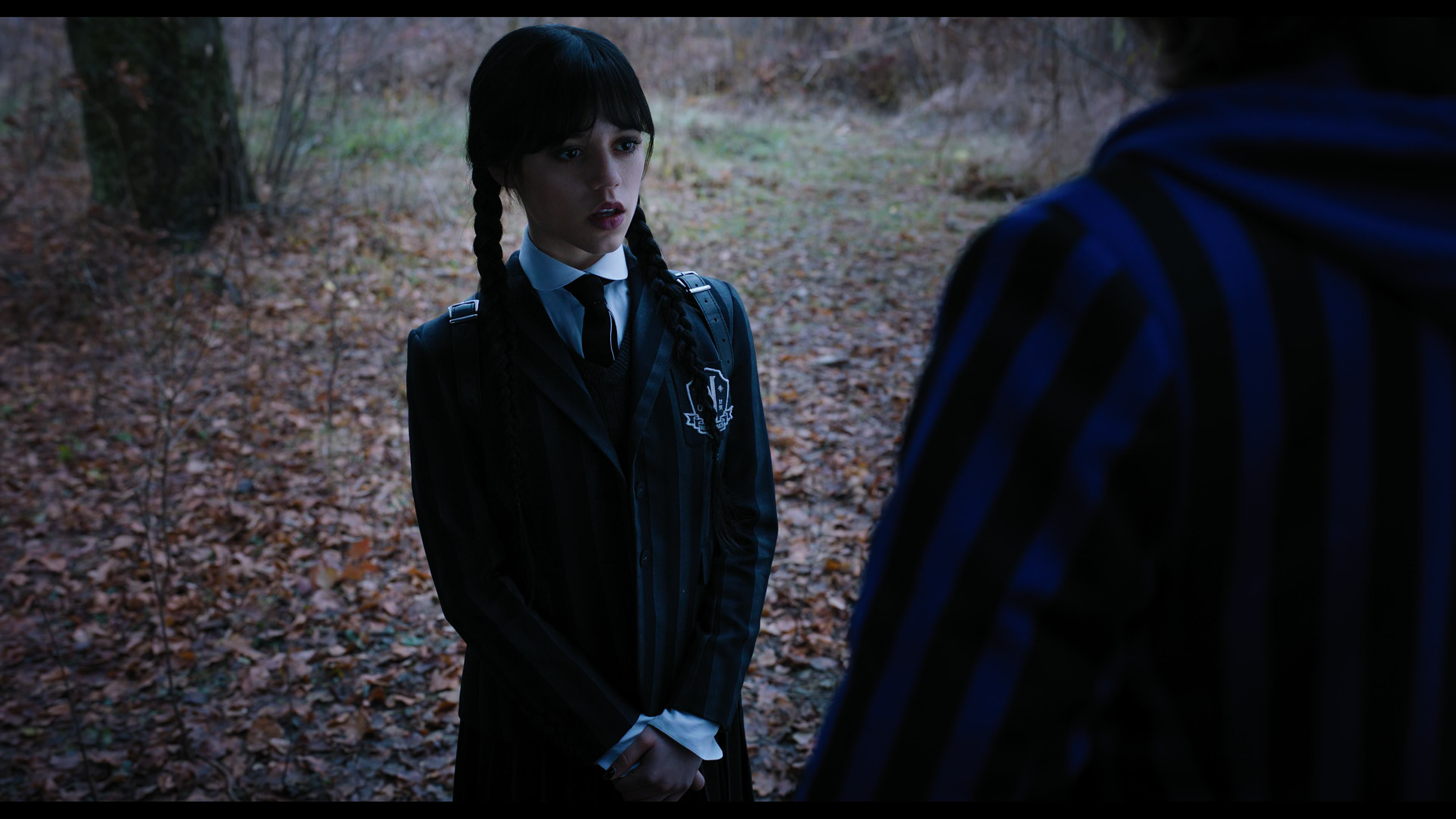 Wednesday S01E04 “Woe What a Night” HD screenshot 1331
