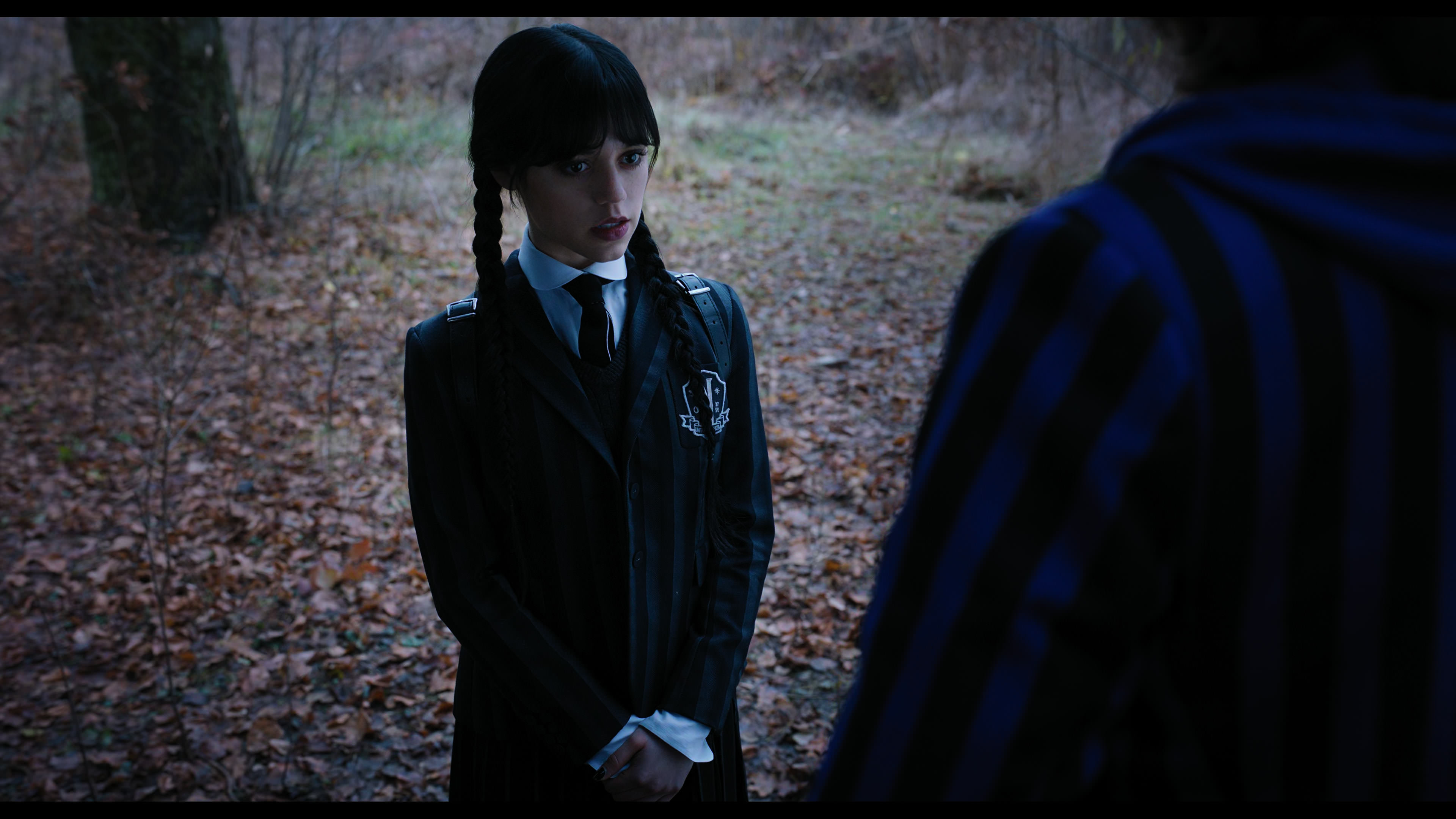 Wednesday S01E04 “Woe What a Night” screencap 1338