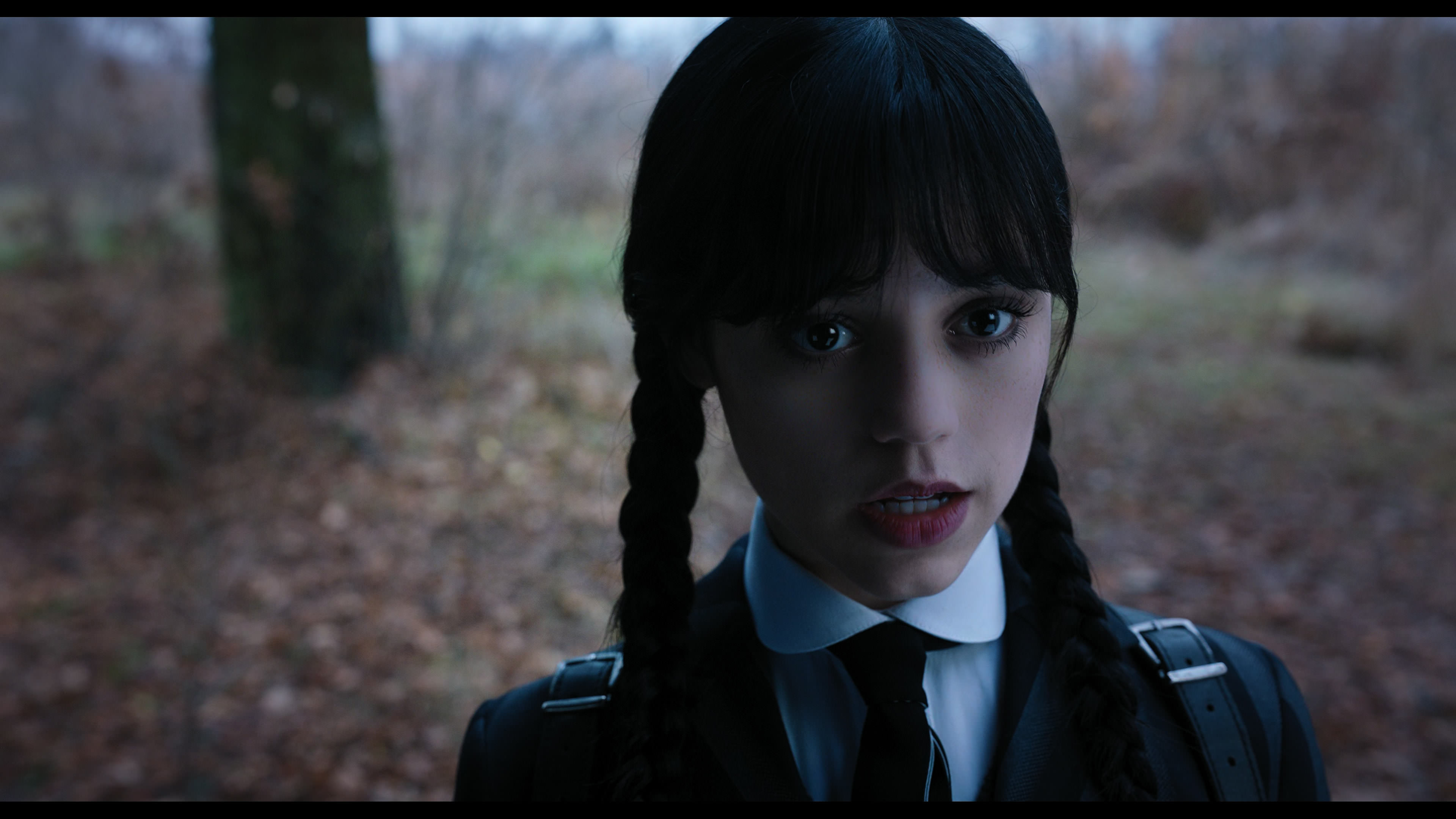 Wednesday S01E04 “Woe What a Night” movie still 1363