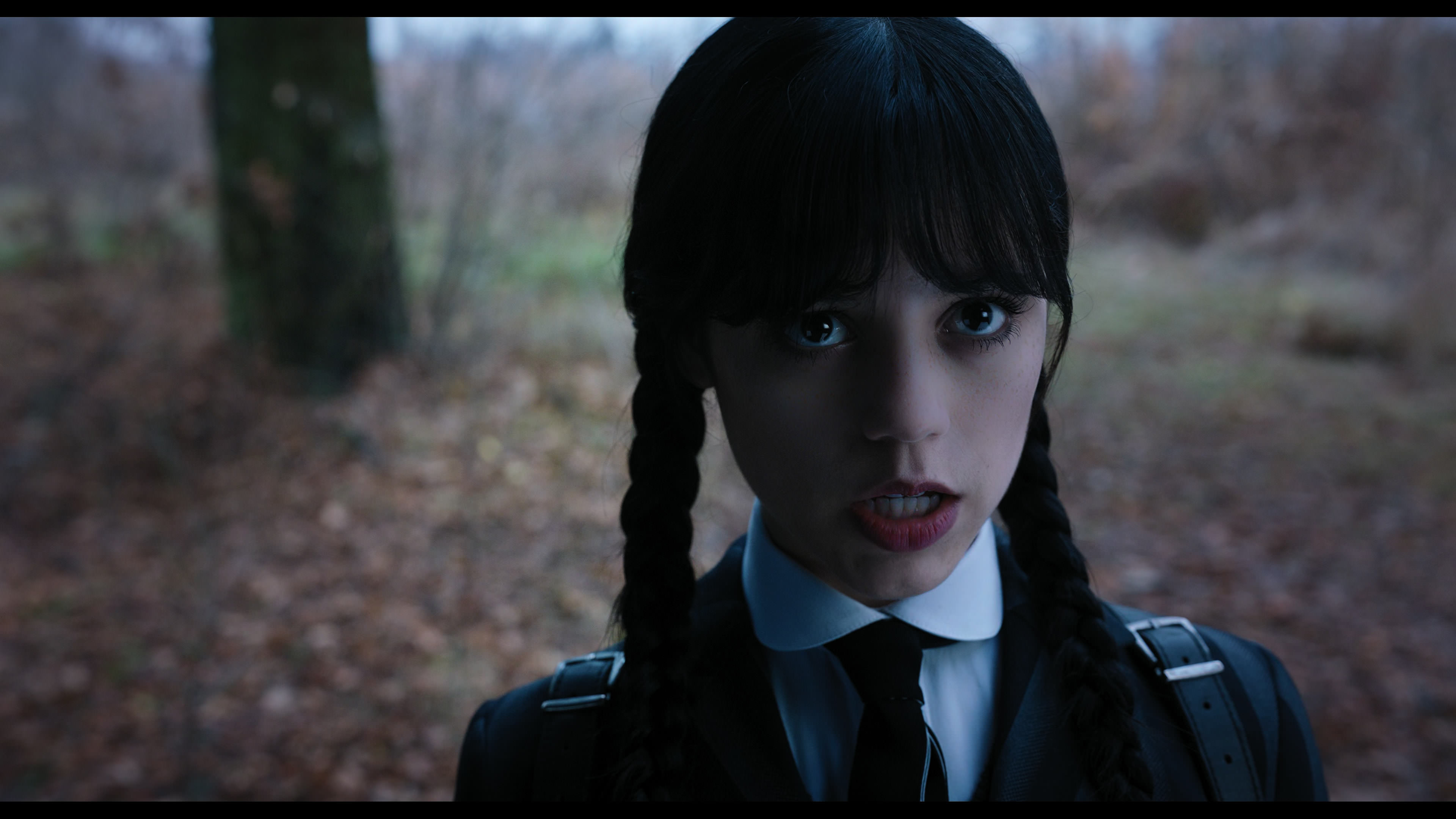 Wednesday S01E04 “Woe What a Night” HD screenshot 1364