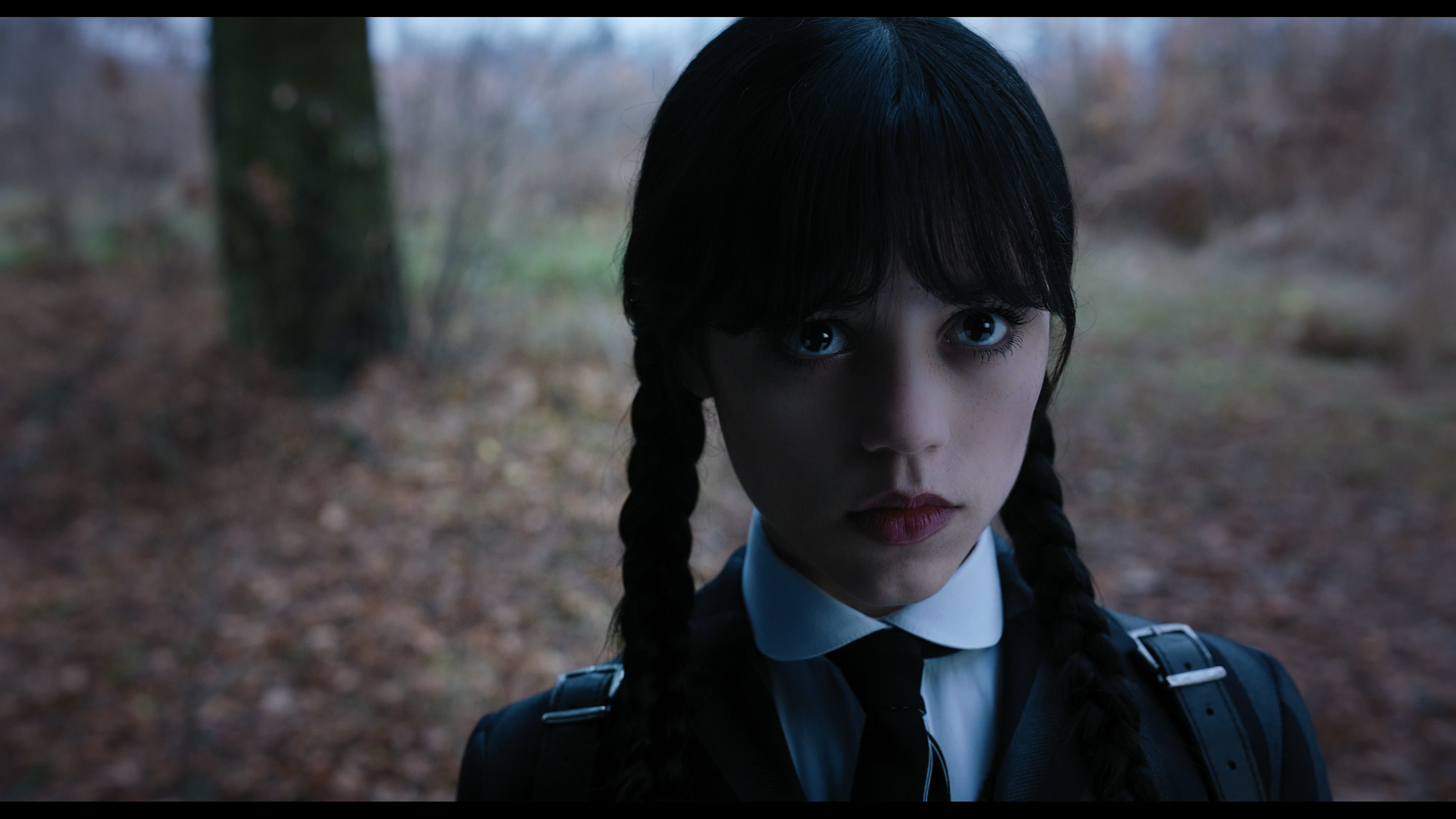 Wednesday S01E04 “Woe What a Night” screencap 1371
