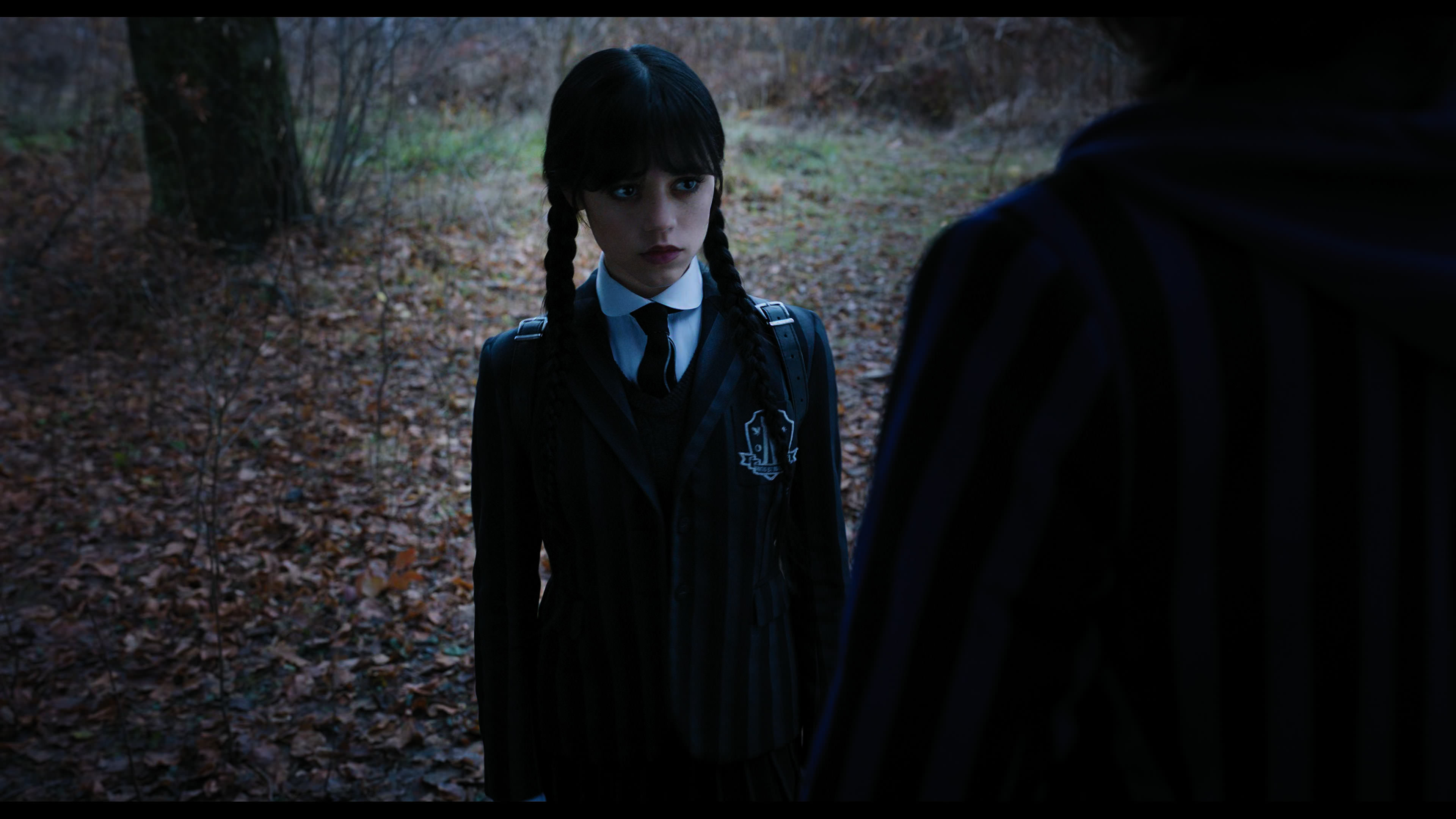 Wednesday S01E04 “Woe What a Night” HD screenshot 1382