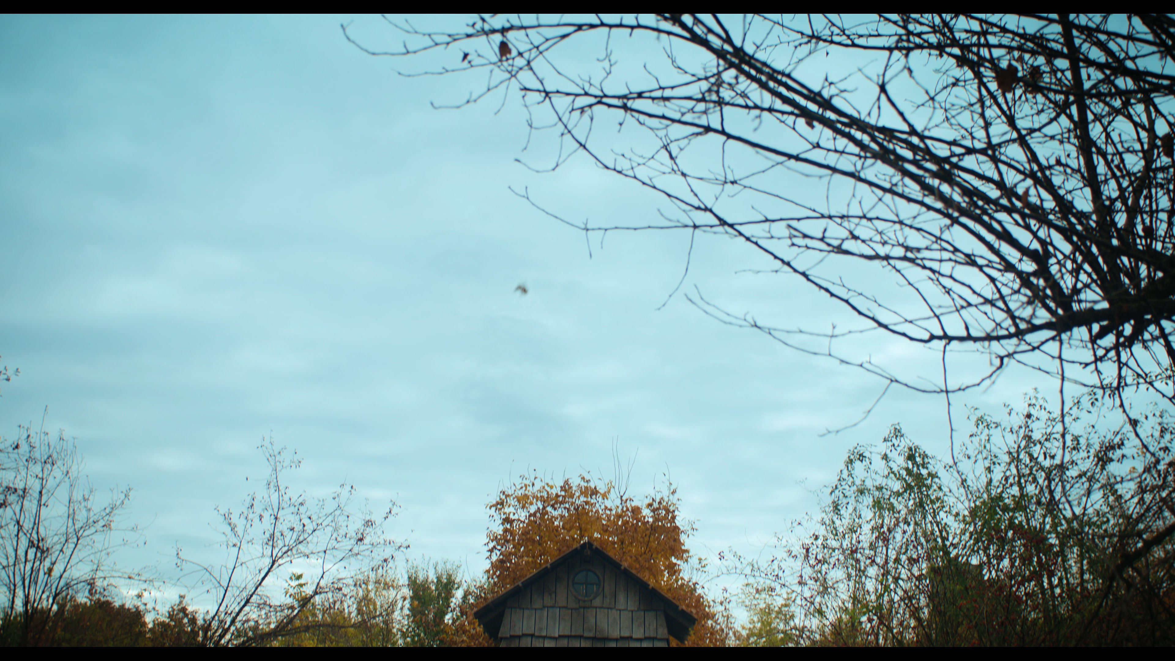 Wednesday S01E04 “Woe What a Night” movie still 2242