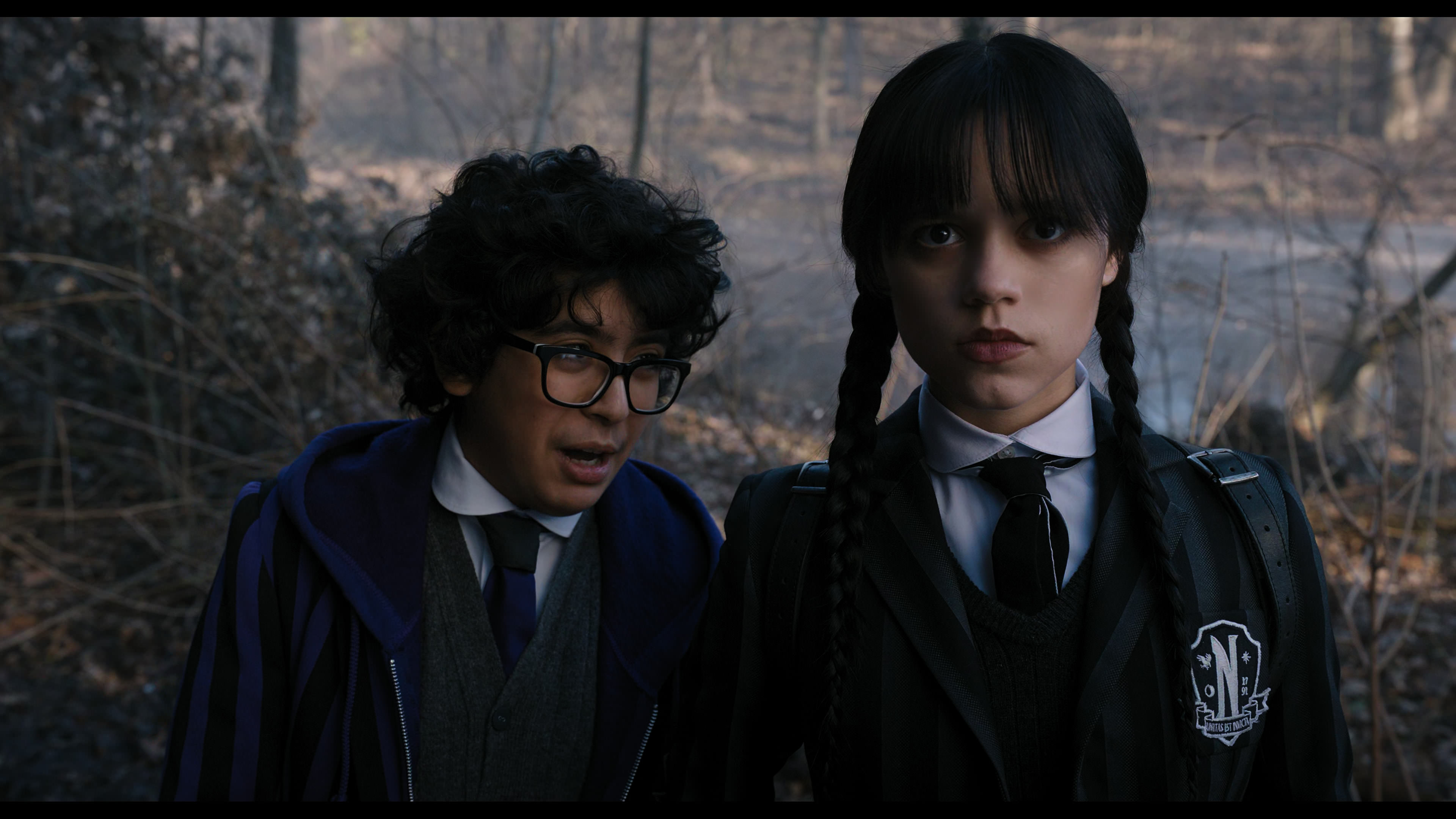 Wednesday S01E04 “Woe What a Night” screencap 2520