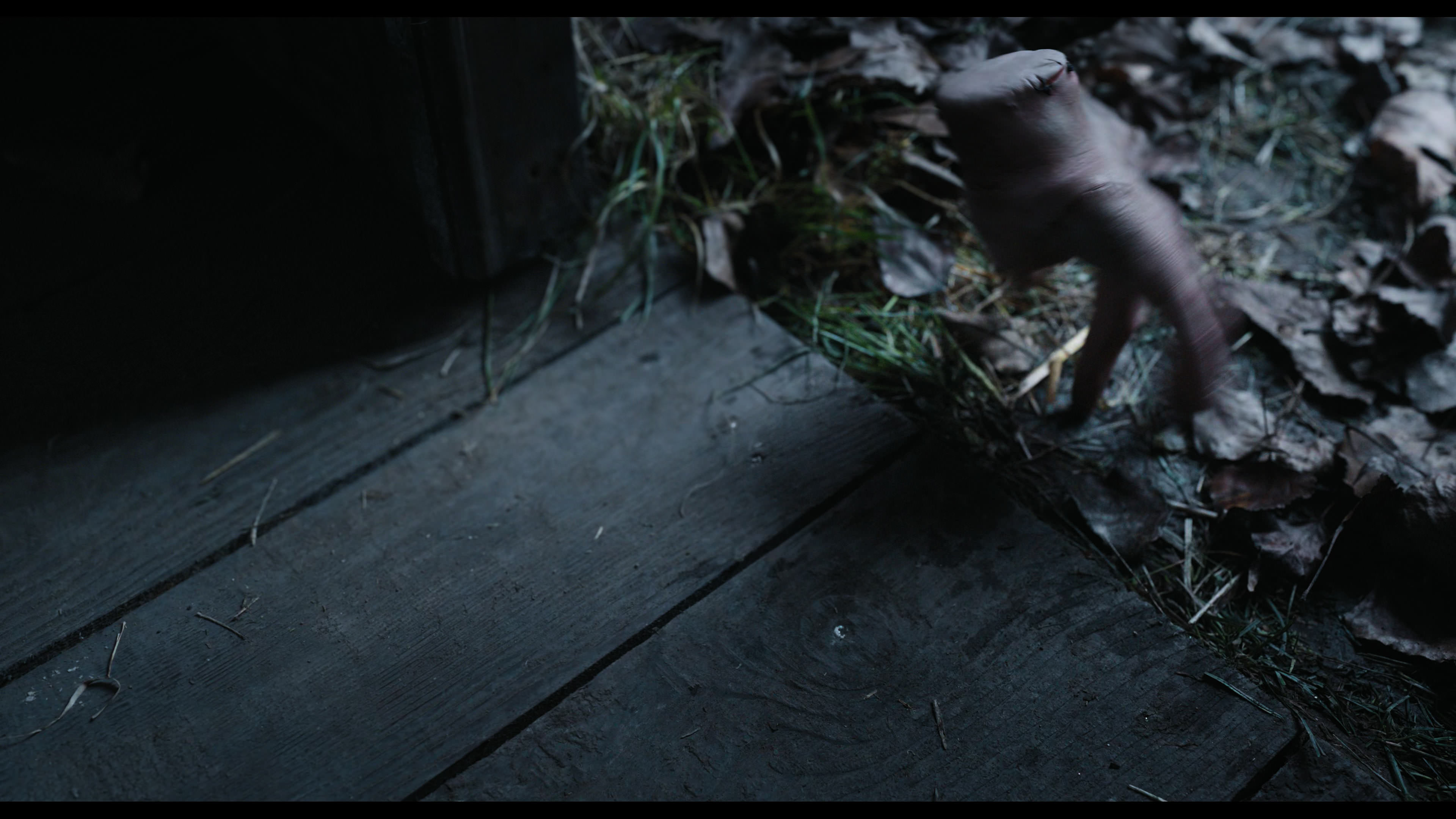 Wednesday S01E04 “Woe What a Night” screencap 2742