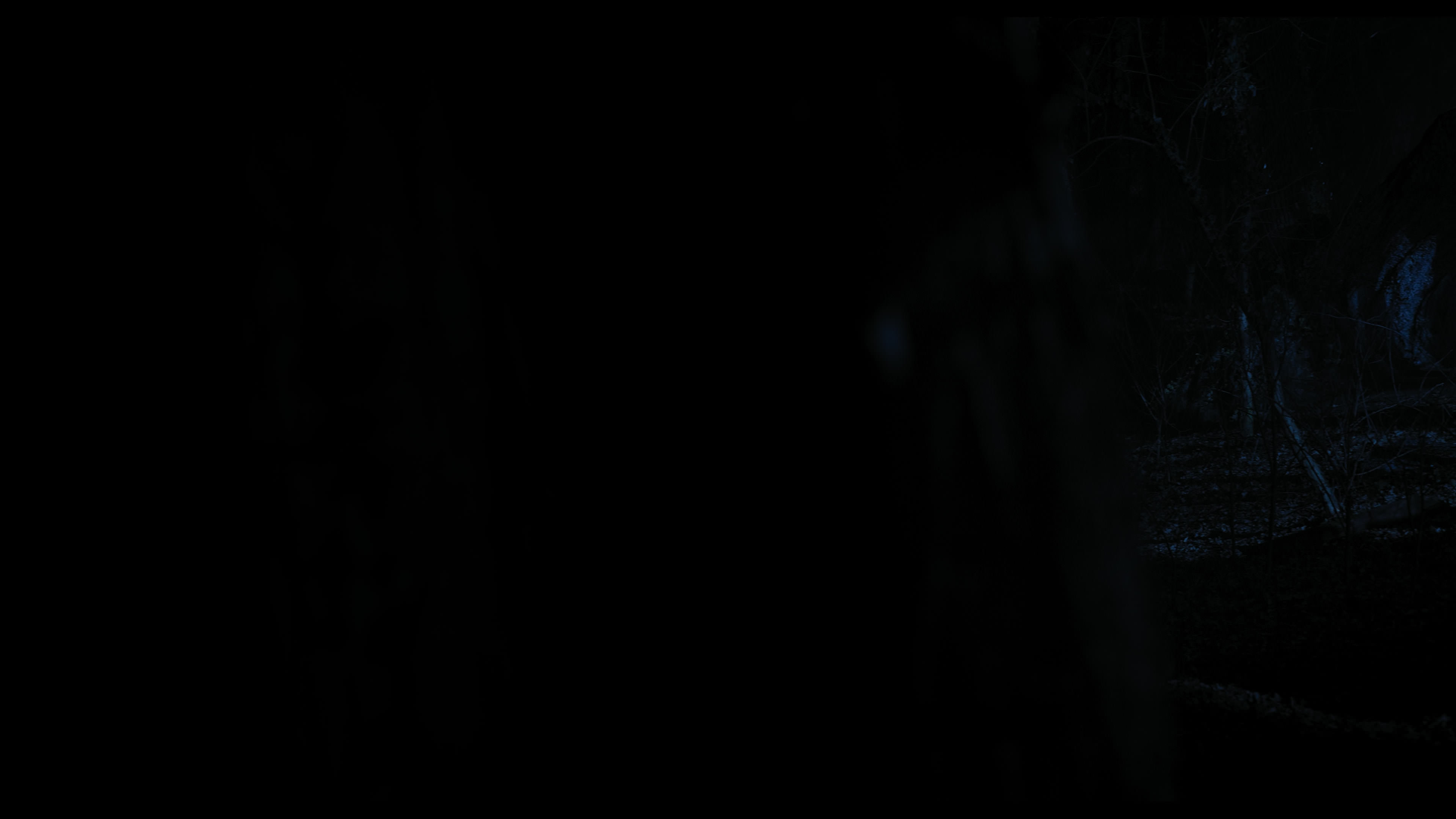 Wednesday S01E04 “Woe What a Night” screencap 4620