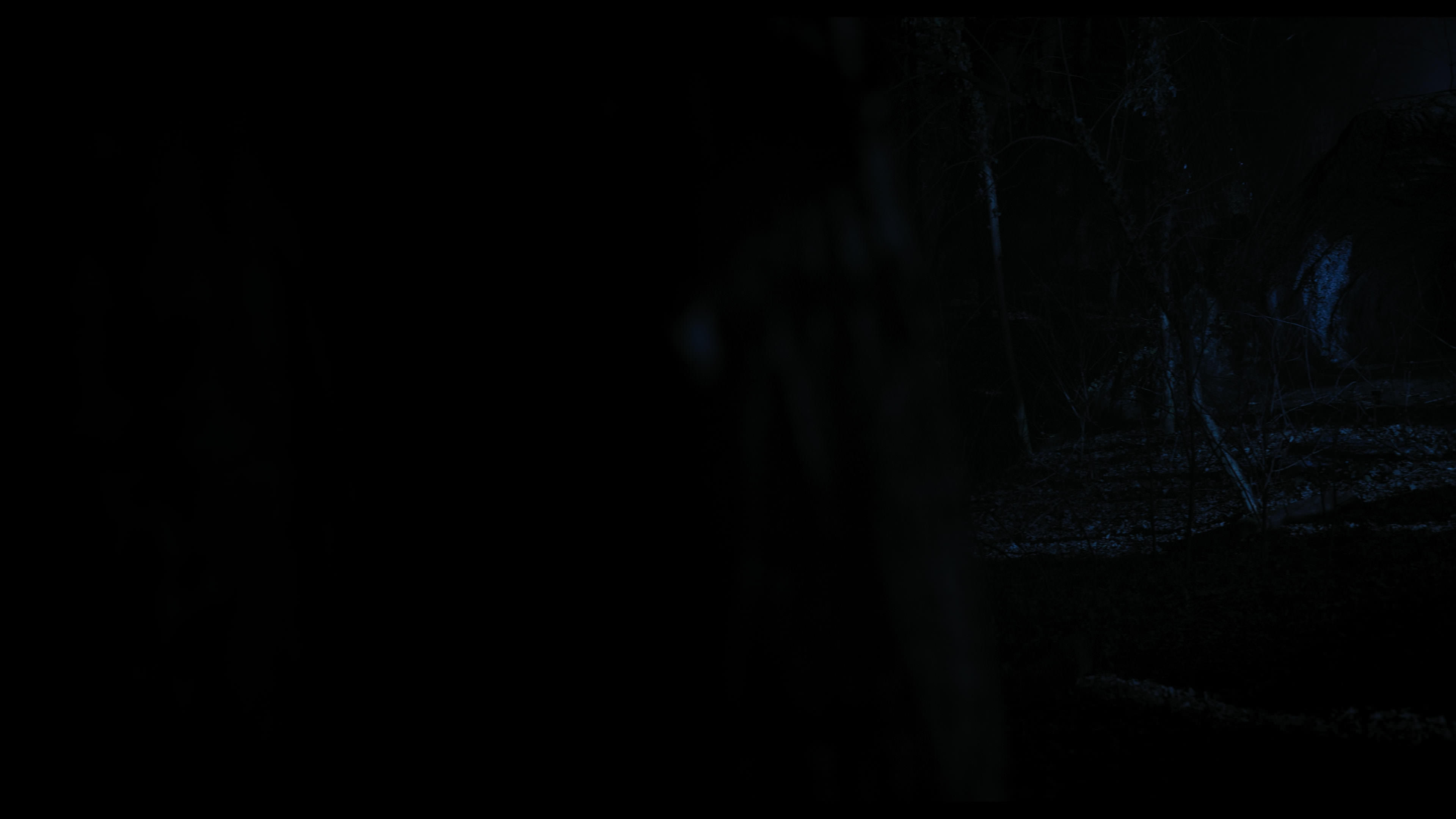 Wednesday S01E04 “Woe What a Night” HD screenshot 4622