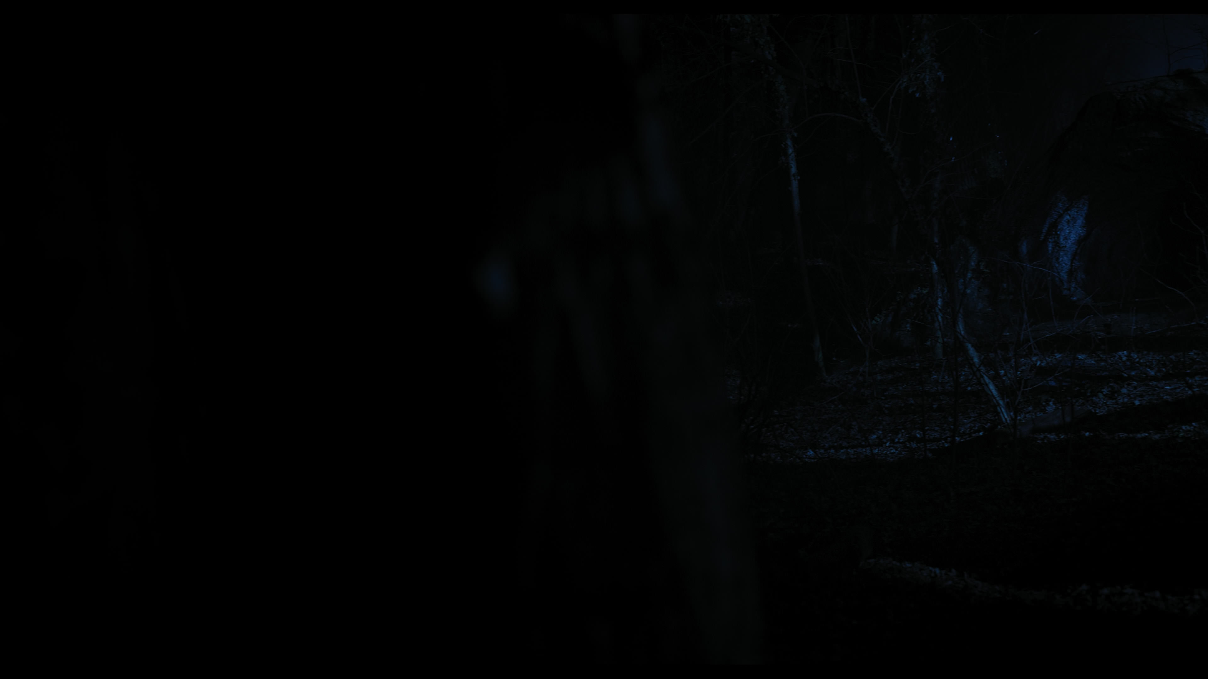 Wednesday S01E04 “Woe What a Night” screencap 4623