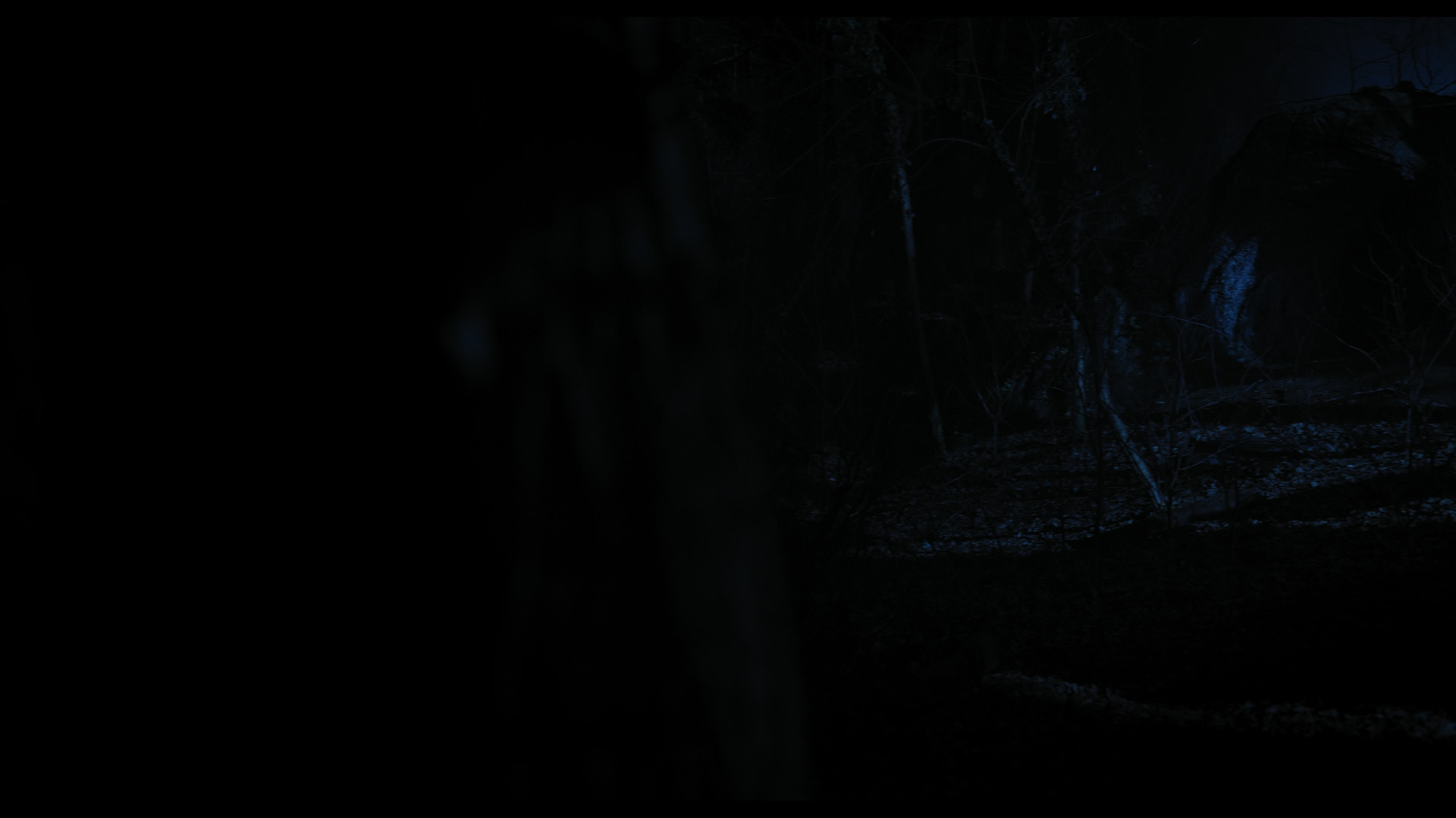Wednesday S01E04 “Woe What a Night” movie still 4624