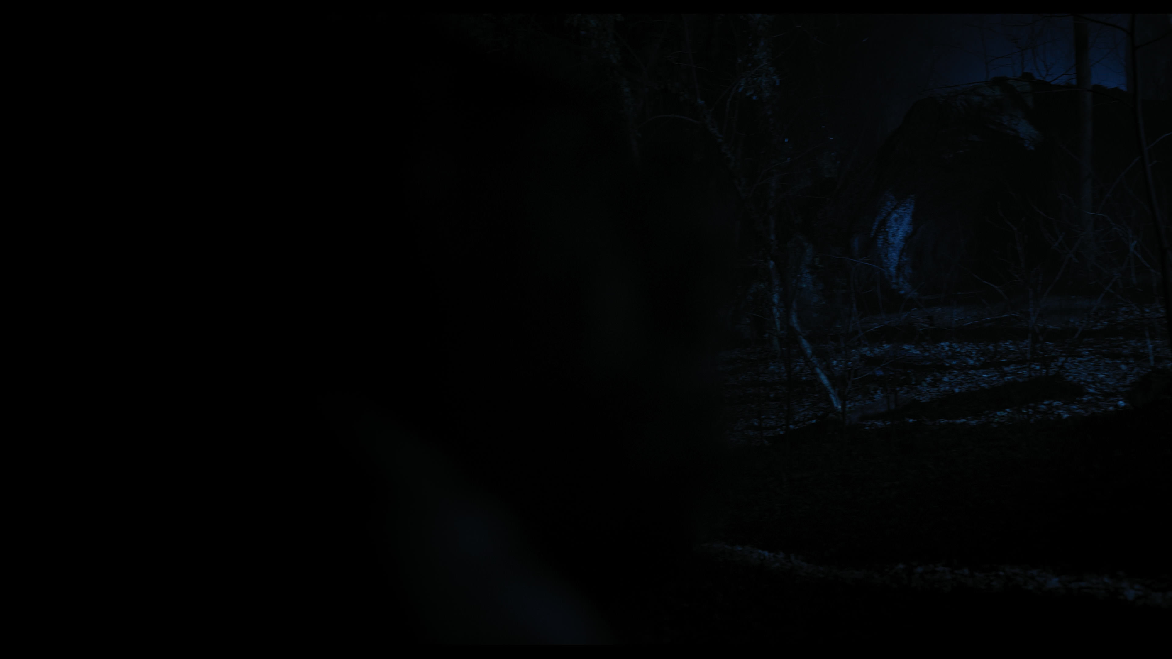 Wednesday S01E04 “Woe What a Night” screencap 4626