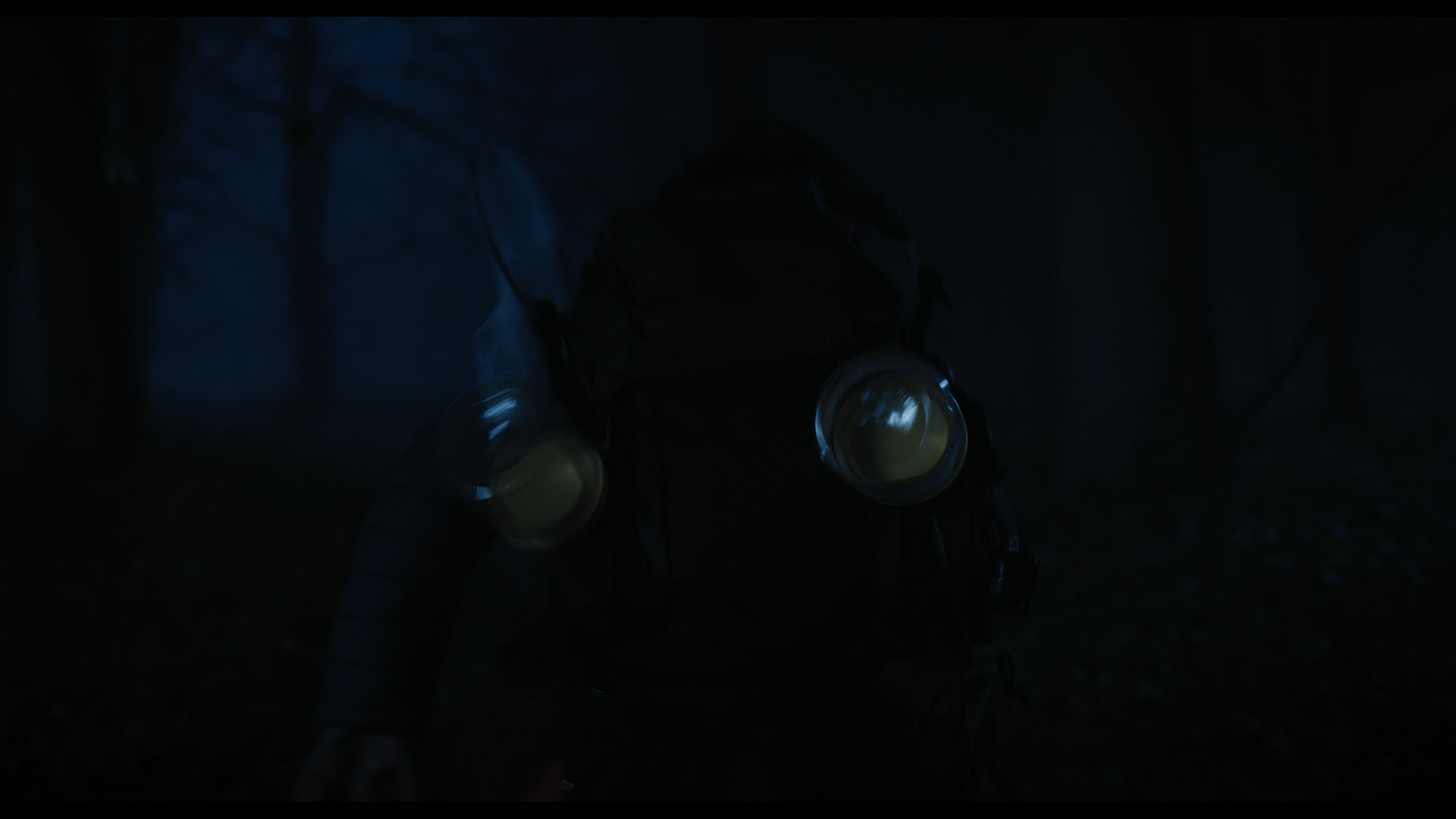 Wednesday S01E04 “Woe What a Night” movie still 5710