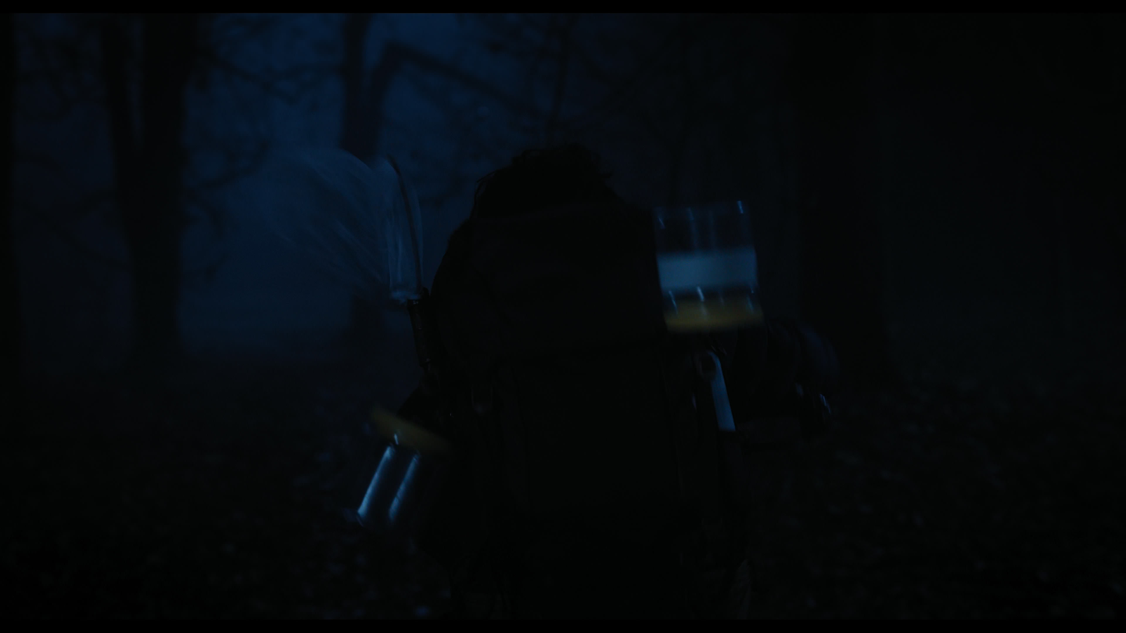 Wednesday S01E04 “Woe What a Night” screencap 5715
